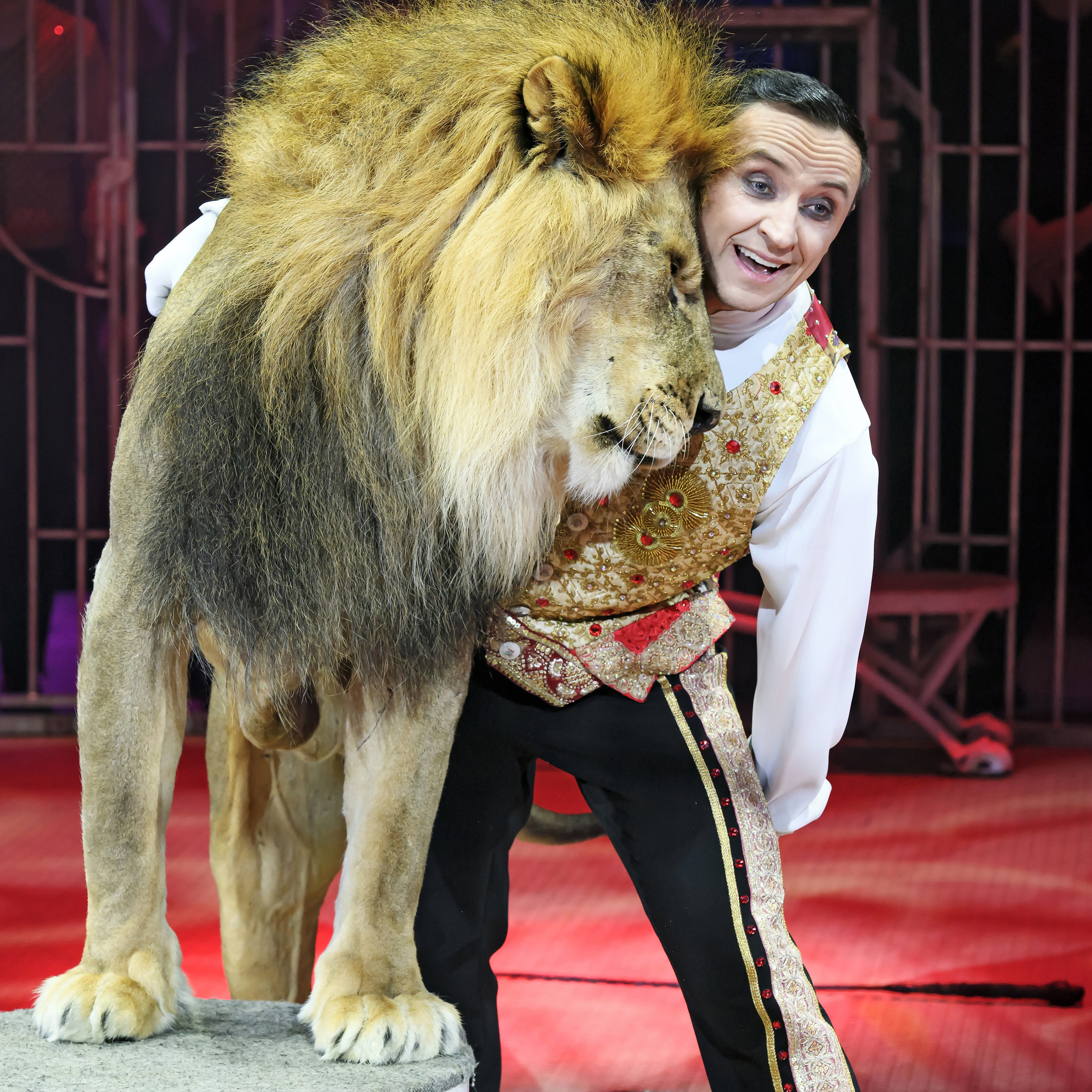 Принц Цирка (Продюсерский центр Влада Гончарова)🎪🦁. Фотограф Андрей Пухов (Jazz)