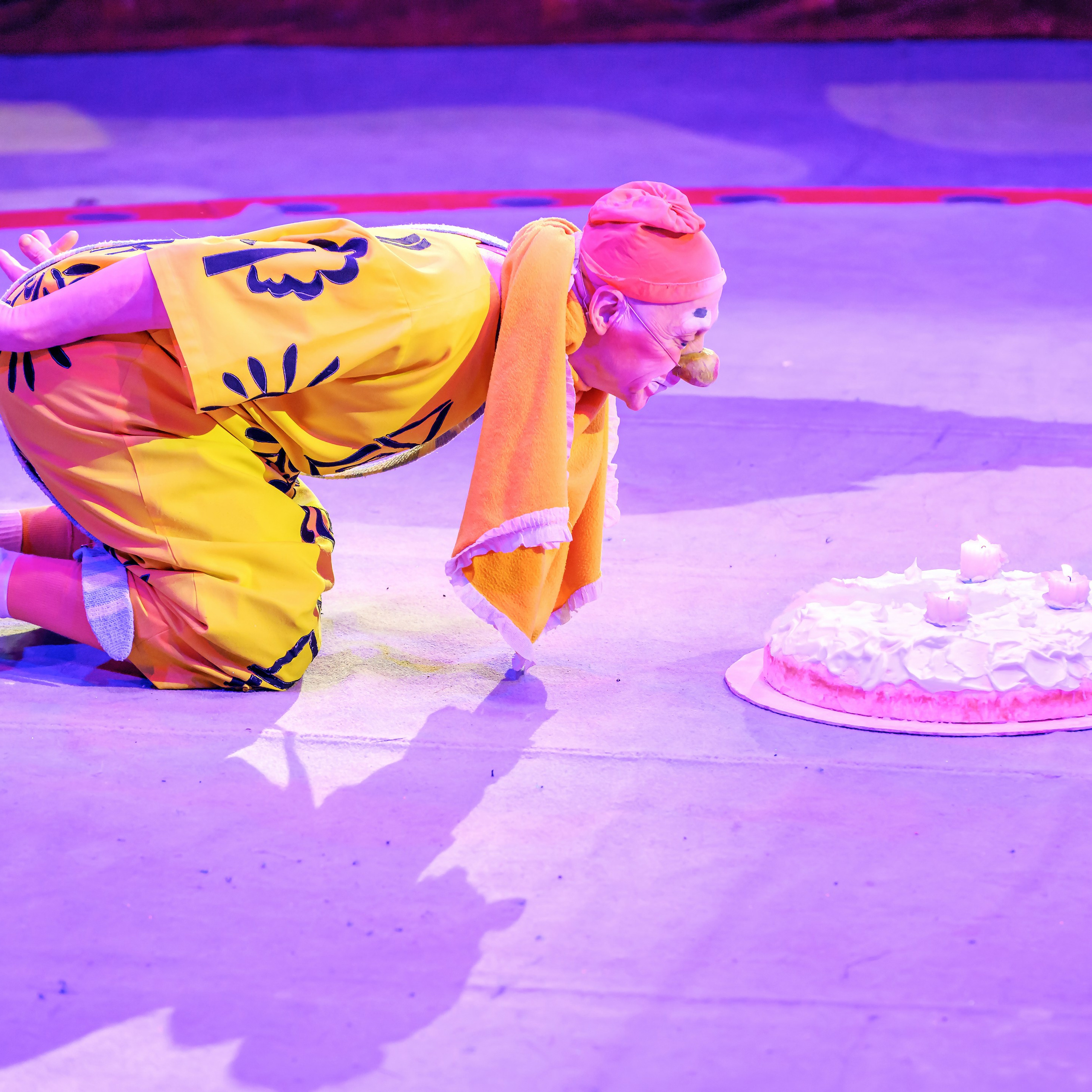 ГРАНДИОЗНОЕ ЦИРКОВОЕ ШОУ ЗАСЛУЖЕННОГО АРТИСТА РОССИИ ГИИ ЭРАДЗЕ. Фотограф Андрей Пухов (Jazz)