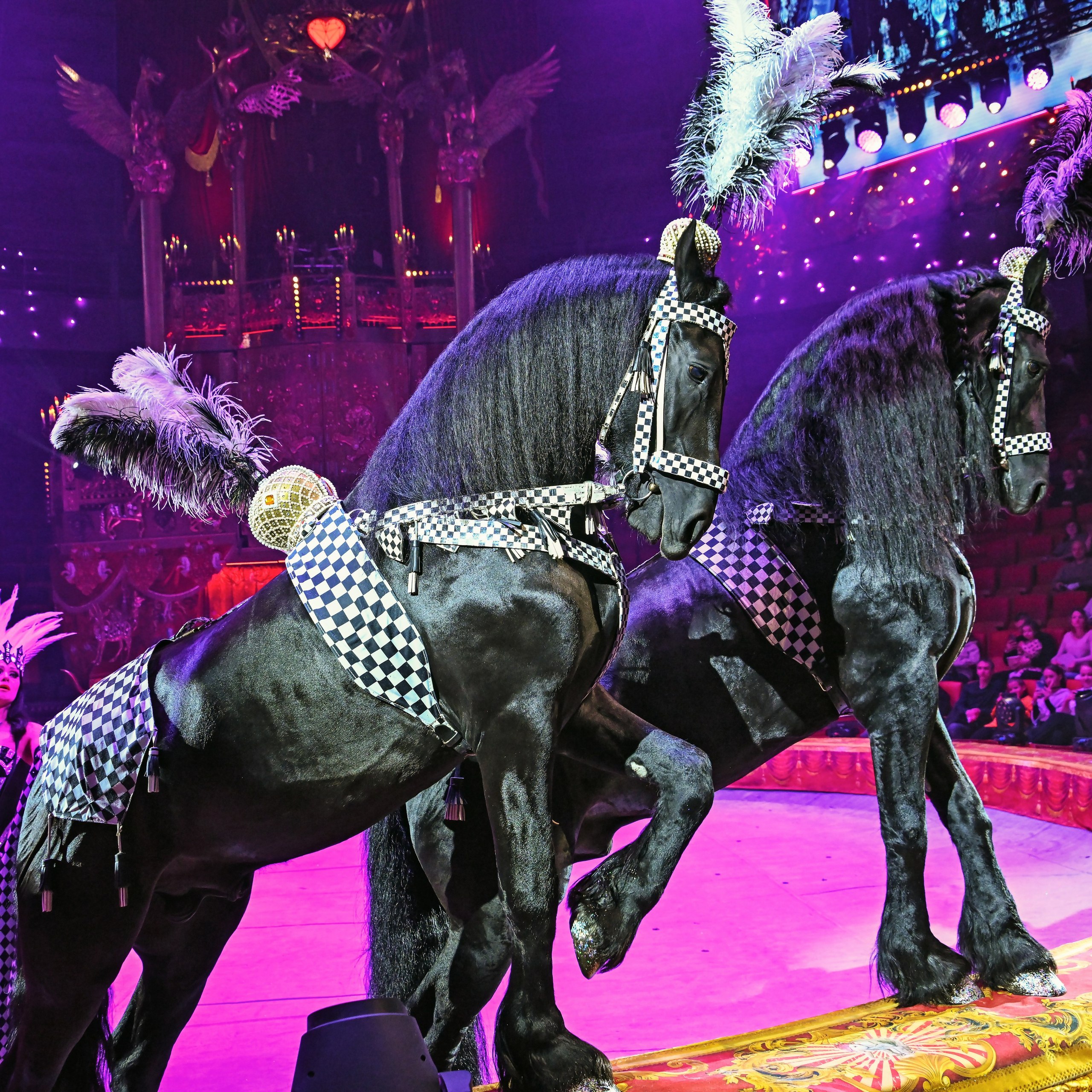 Вечное искусство удивлять: Королевский цирк Гии Эрадзе 👑 Роскошь здесь в каждой детали 💫✨⭐. Фотограф Андрей Пухов (Jazz)