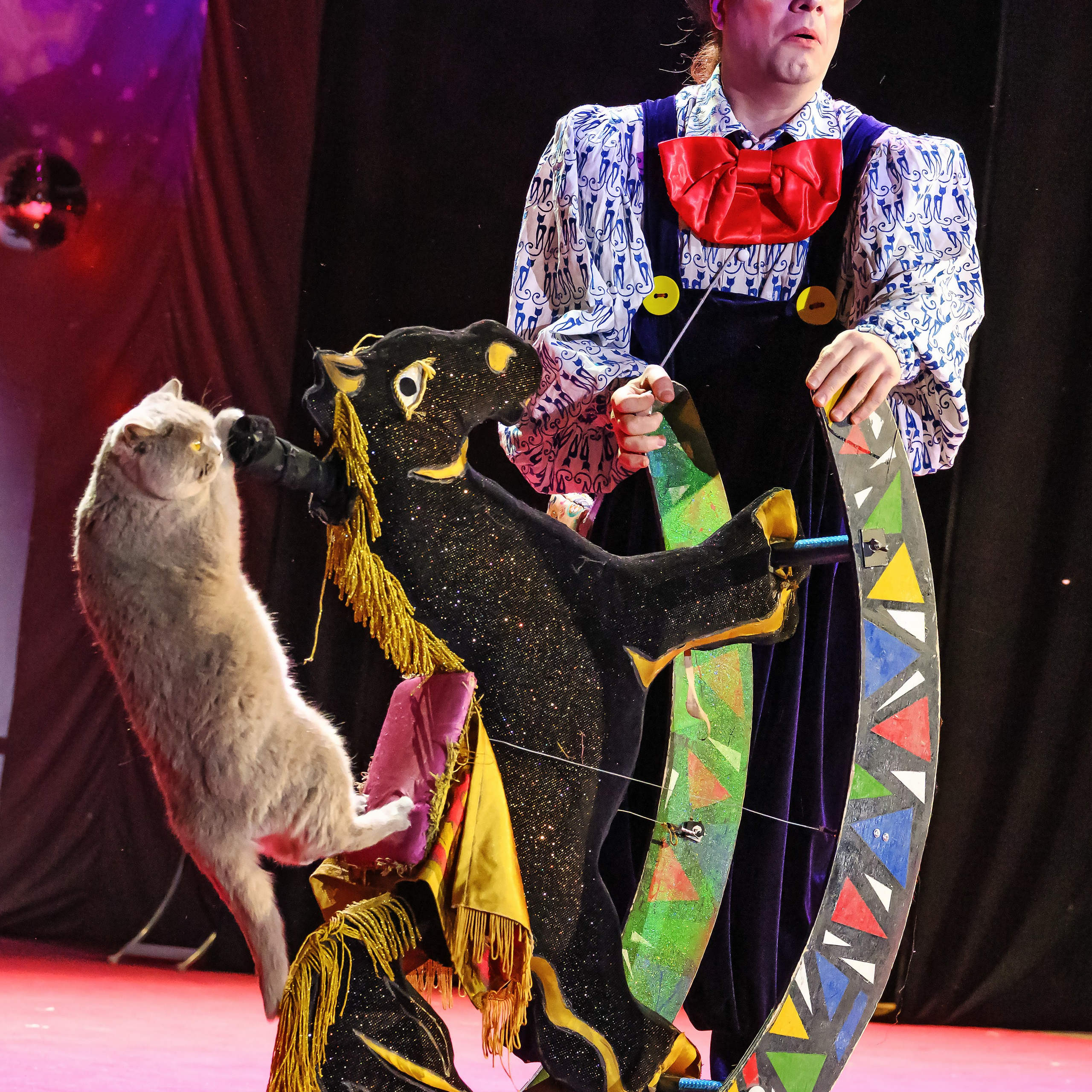 Великий клоун, Народный артист России, Юрий Куклачёв со звёздами эстрады и цирка, уникальный бенефис!. Фотограф Андрей Пухов (Jazz)