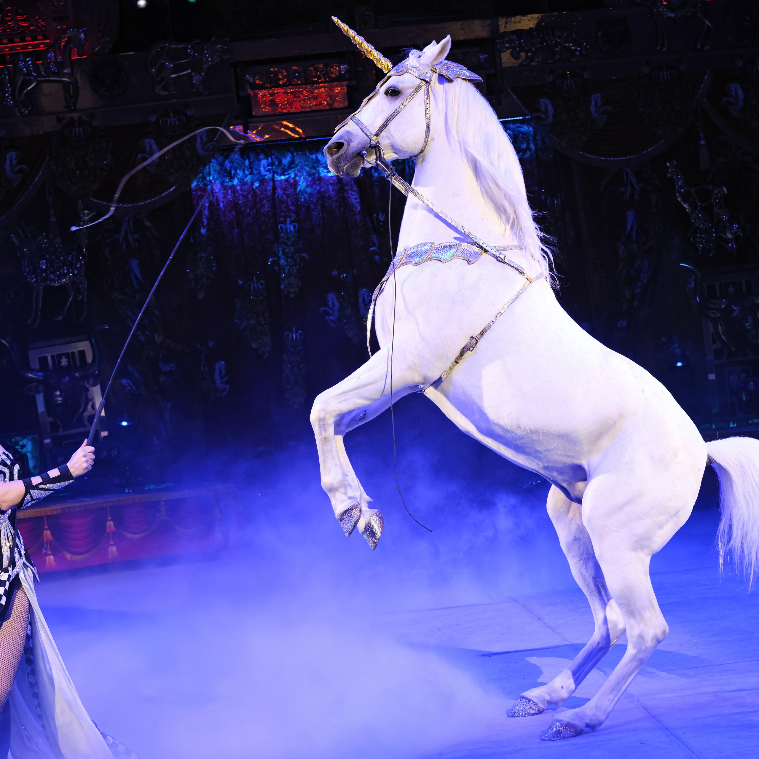 ГРАНДИОЗНОЕ ЦИРКОВОЕ ШОУ ЗАСЛУЖЕННОГО АРТИСТА РОССИИ ГИИ ЭРАДЗЕ. Фотограф Андрей Пухов (Jazz)