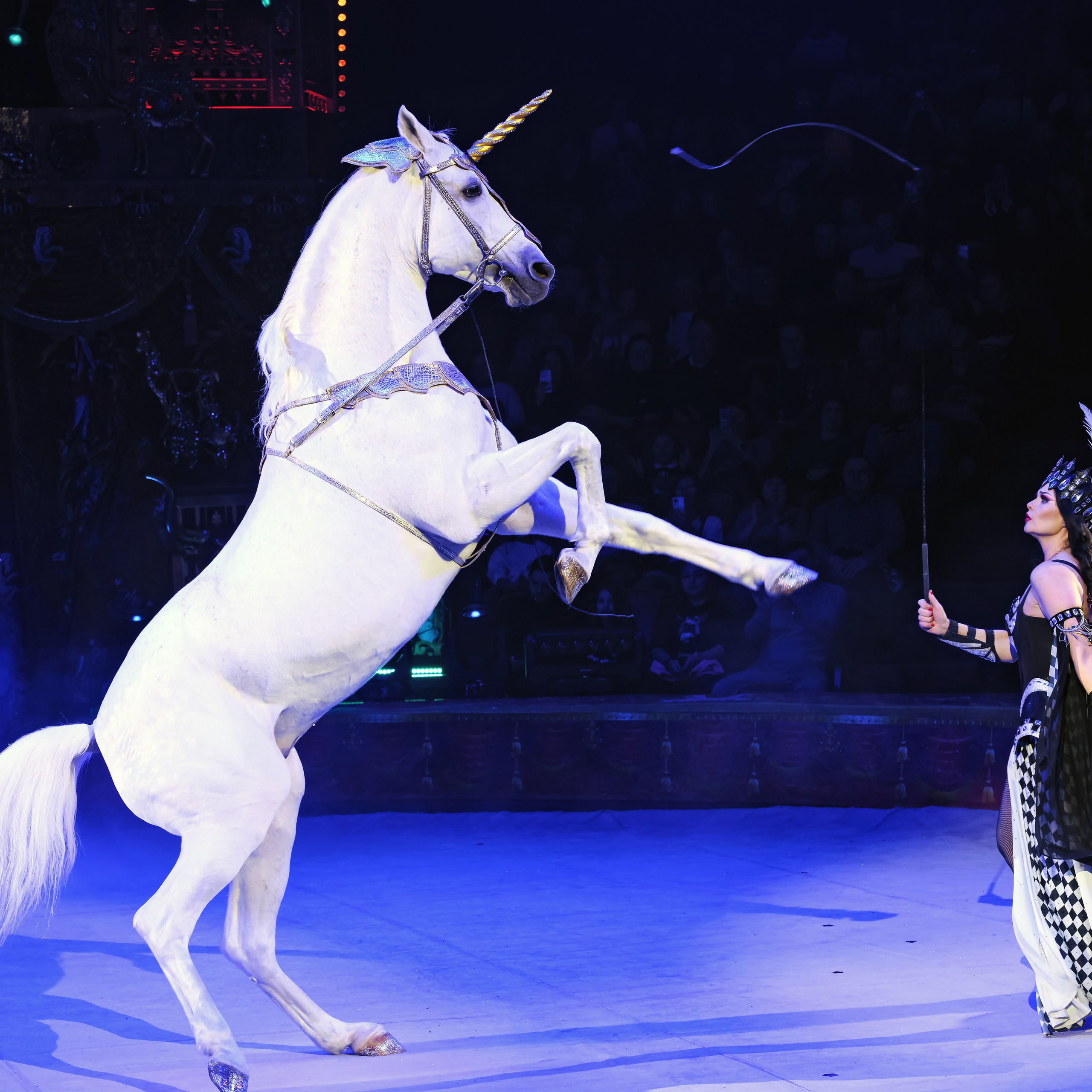 ГРАНДИОЗНОЕ ЦИРКОВОЕ ШОУ ЗАСЛУЖЕННОГО АРТИСТА РОССИИ ГИИ ЭРАДЗЕ. Фотограф Андрей Пухов (Jazz)