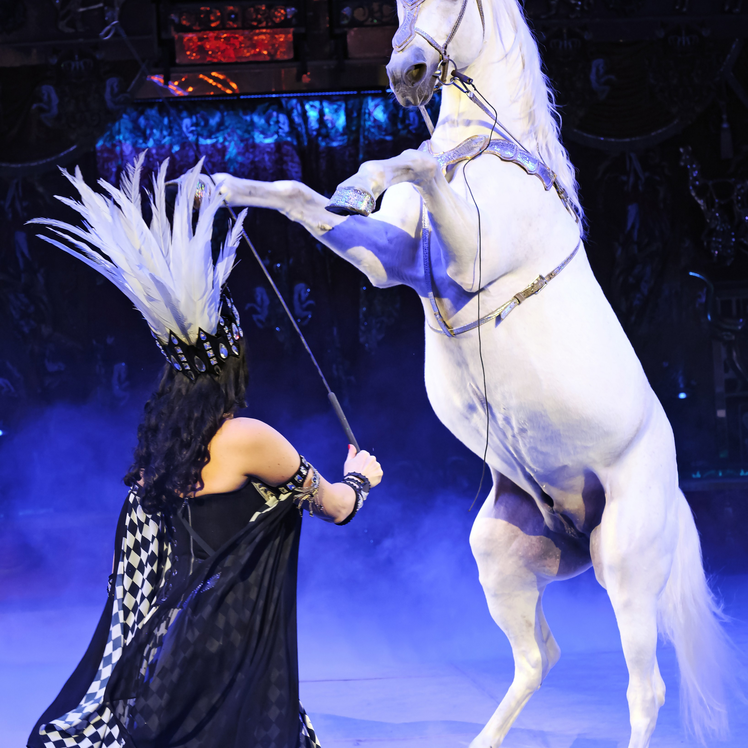 ГРАНДИОЗНОЕ ЦИРКОВОЕ ШОУ ЗАСЛУЖЕННОГО АРТИСТА РОССИИ ГИИ ЭРАДЗЕ. Фотограф Андрей Пухов (Jazz)