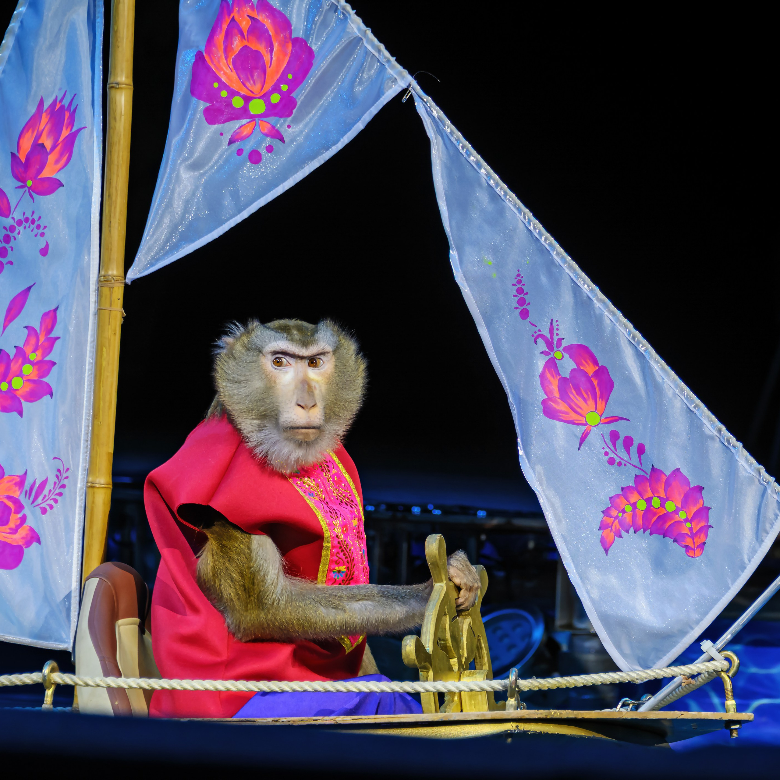 🎪 «Цирк на воде💦 🏰Царство фонтанов**»✨🌊🎭. Фотограф Андрей Пухов (Jazz)