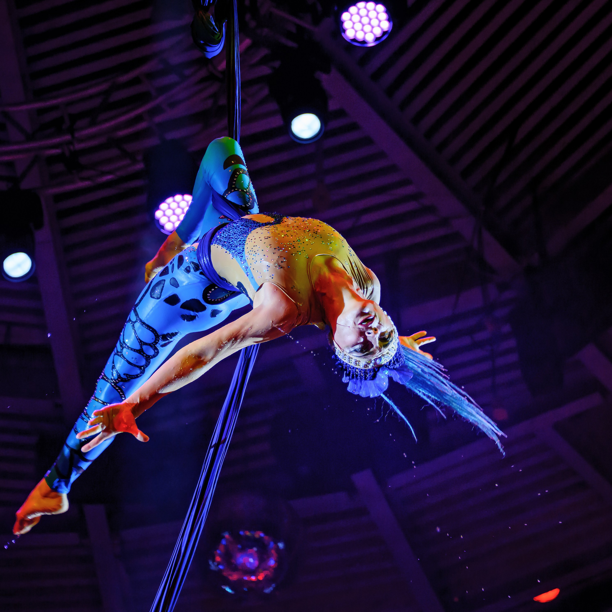 🎪 «Цирк на воде💦 🏰Царство фонтанов**»✨🌊🎭. Фотограф Андрей Пухов (Jazz)