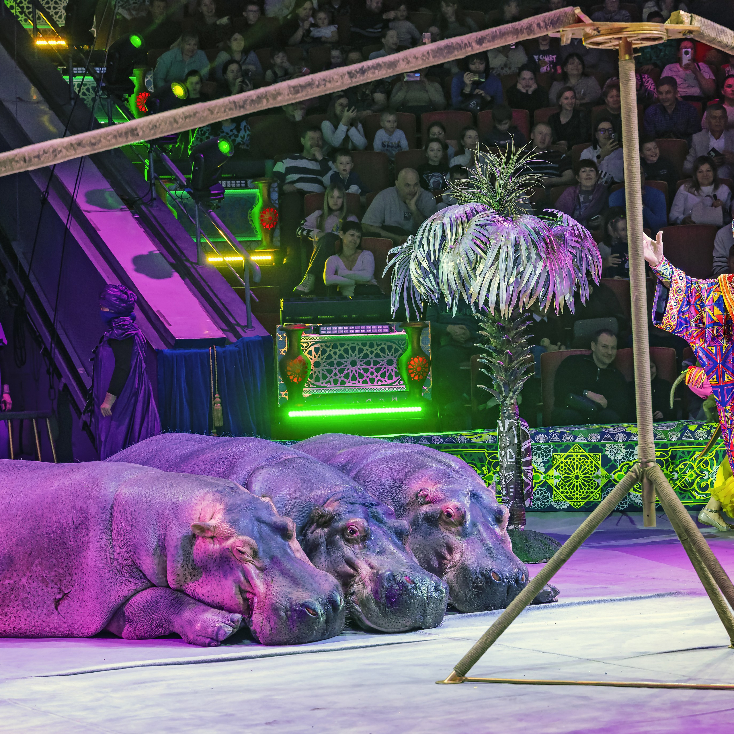 Песчаная сказка — Нижегородский Государственный Цирк (Премьера). Цирковой фотограф Андрей Пухов (Jazz)