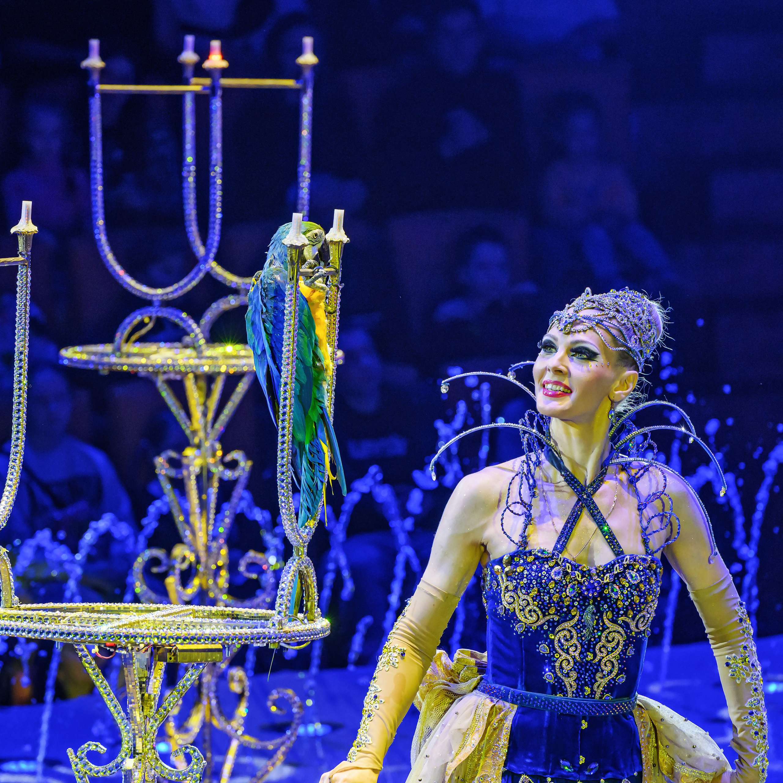 Принц Цирка (Продюсерский центр Влада Гончарова)🎪🦁. Фотограф Андрей Пухов (Jazz)