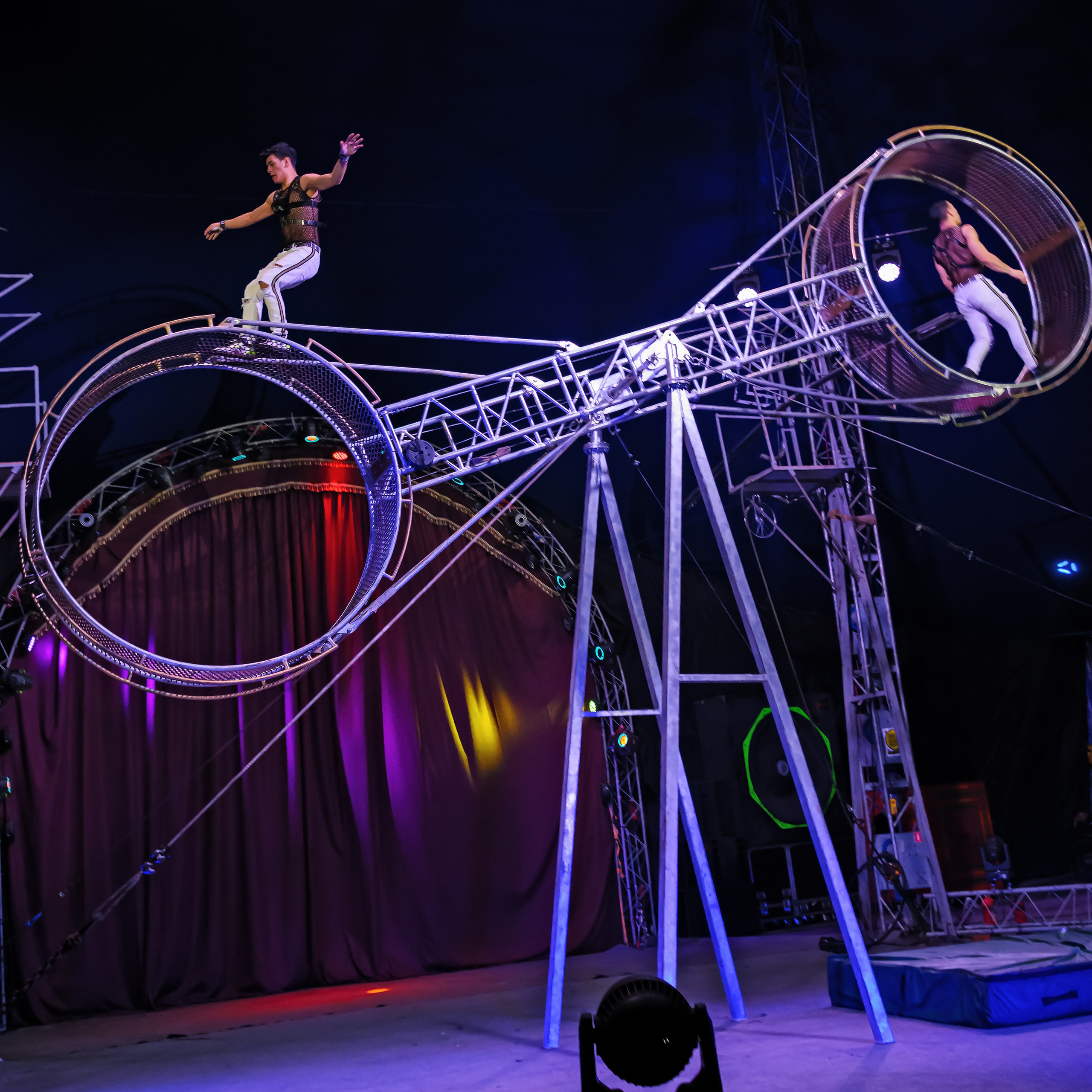 Шоу Демидовых. Цирковой фотограф Андрей Пухов (Jazz)