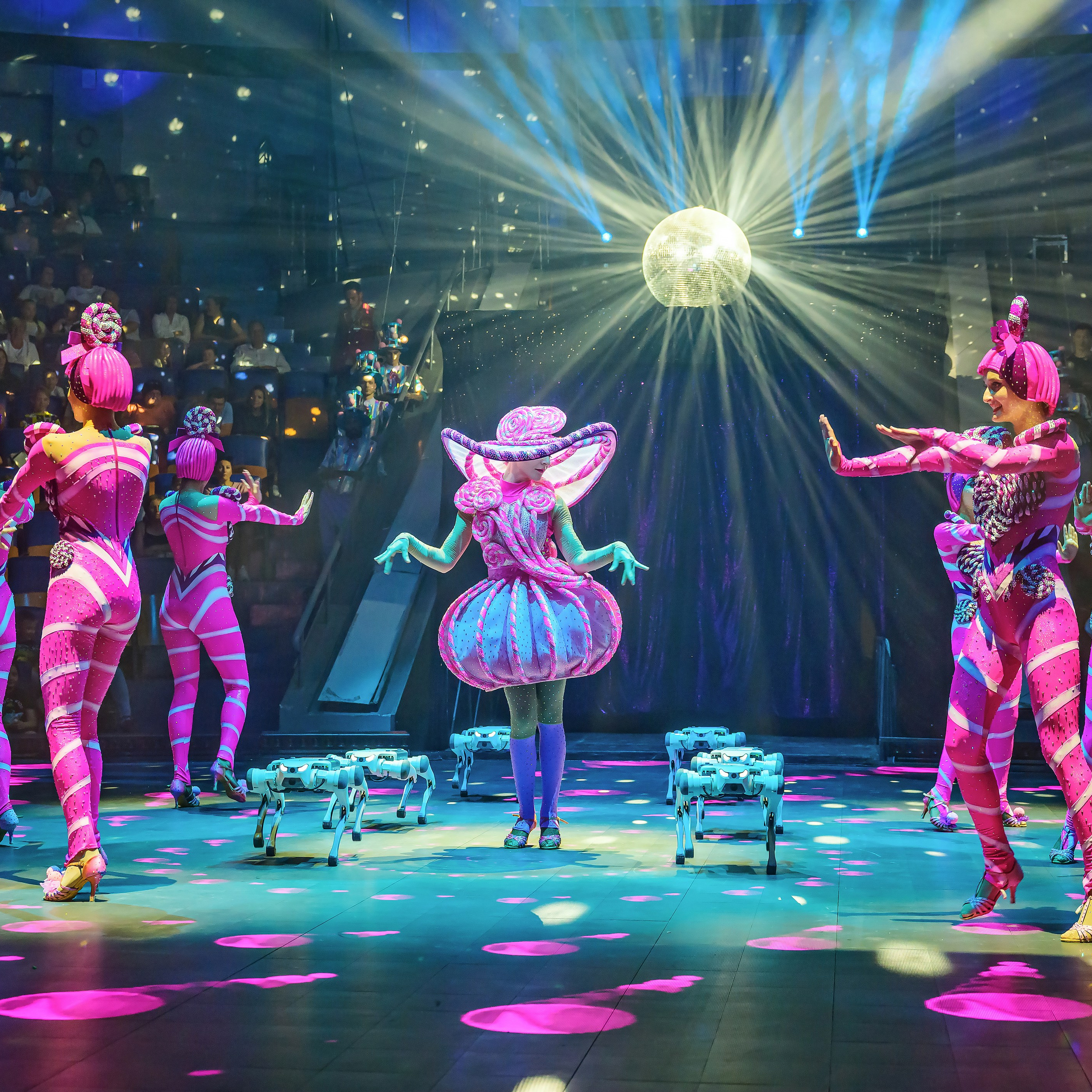 🍭Вкусное шоу «WOW»🍫. Фотограф Андрей Пухов (Jazz)