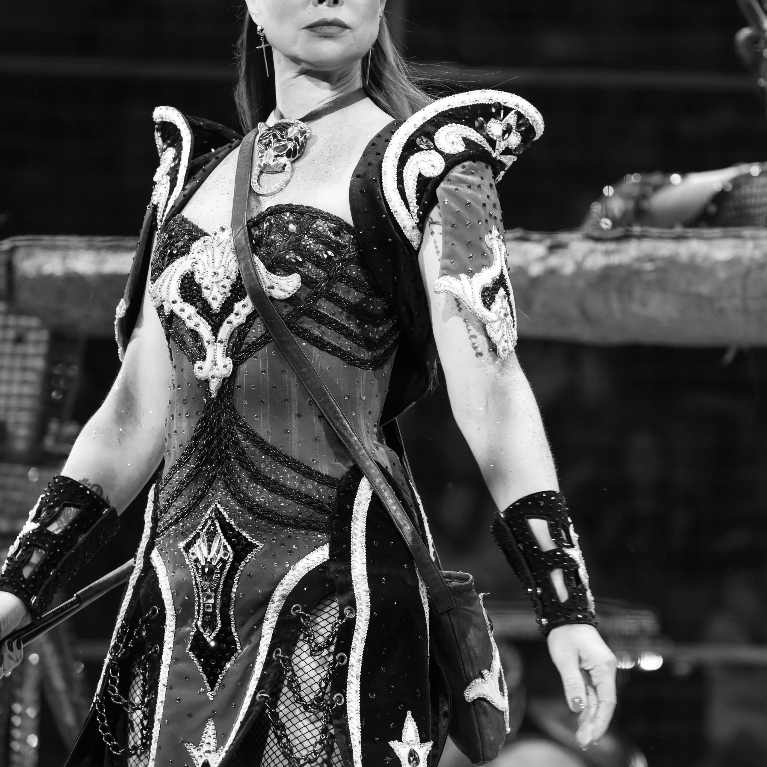 Шоу «Королевский цирк». Фотограф Андрей Пухов (Jazz)