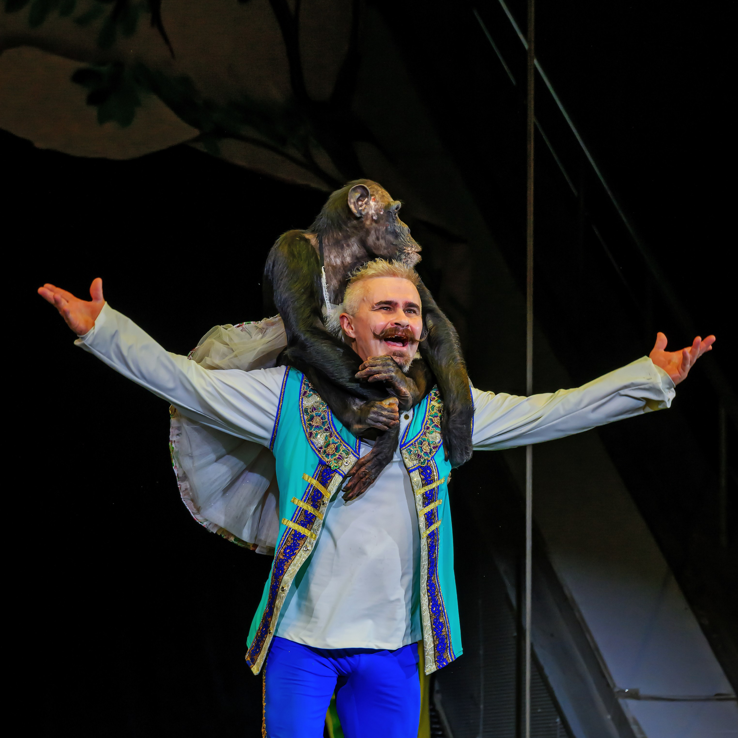 🎪 «Цирк на воде💦 🏰Царство фонтанов**»✨🌊🎭. Фотограф Андрей Пухов (Jazz)