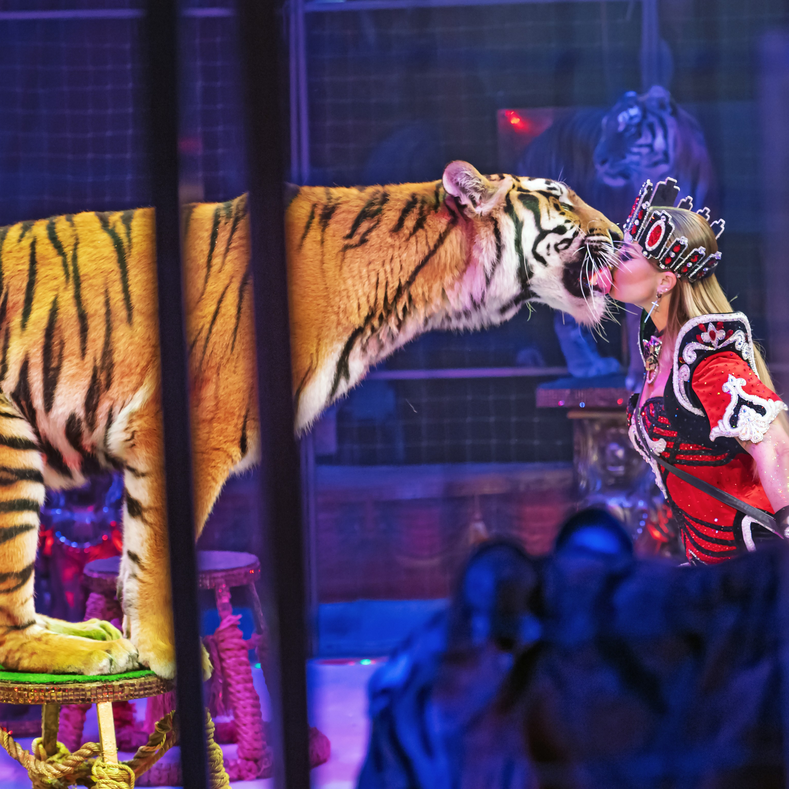 ГРАНДИОЗНОЕ ЦИРКОВОЕ ШОУ ЗАСЛУЖЕННОГО АРТИСТА РОССИИ ГИИ ЭРАДЗЕ. Фотограф Андрей Пухов (Jazz)