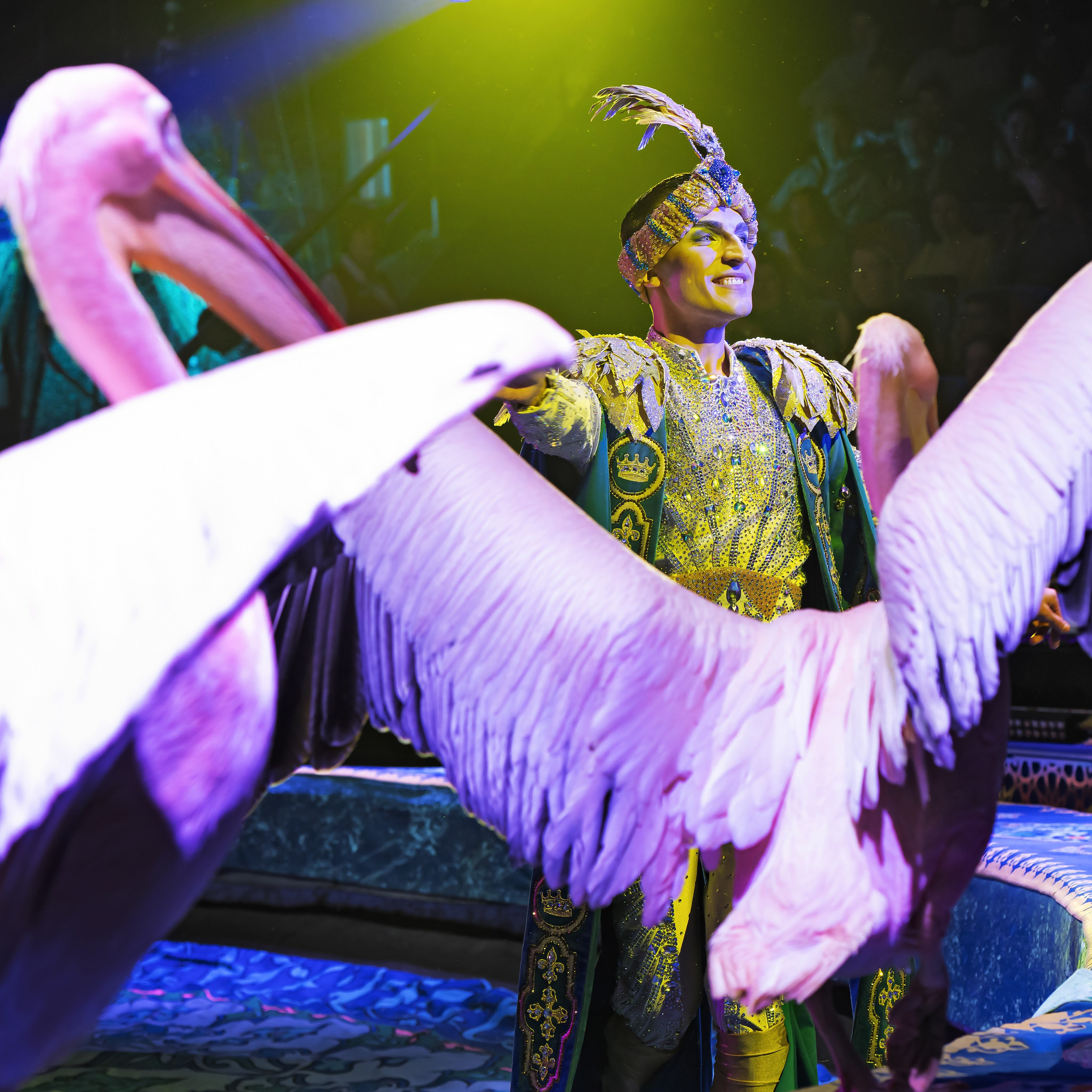 Песчаная сказка — Нижегородский Государственный Цирк (Премьера). Цирковой фотограф Андрей Пухов (Jazz)