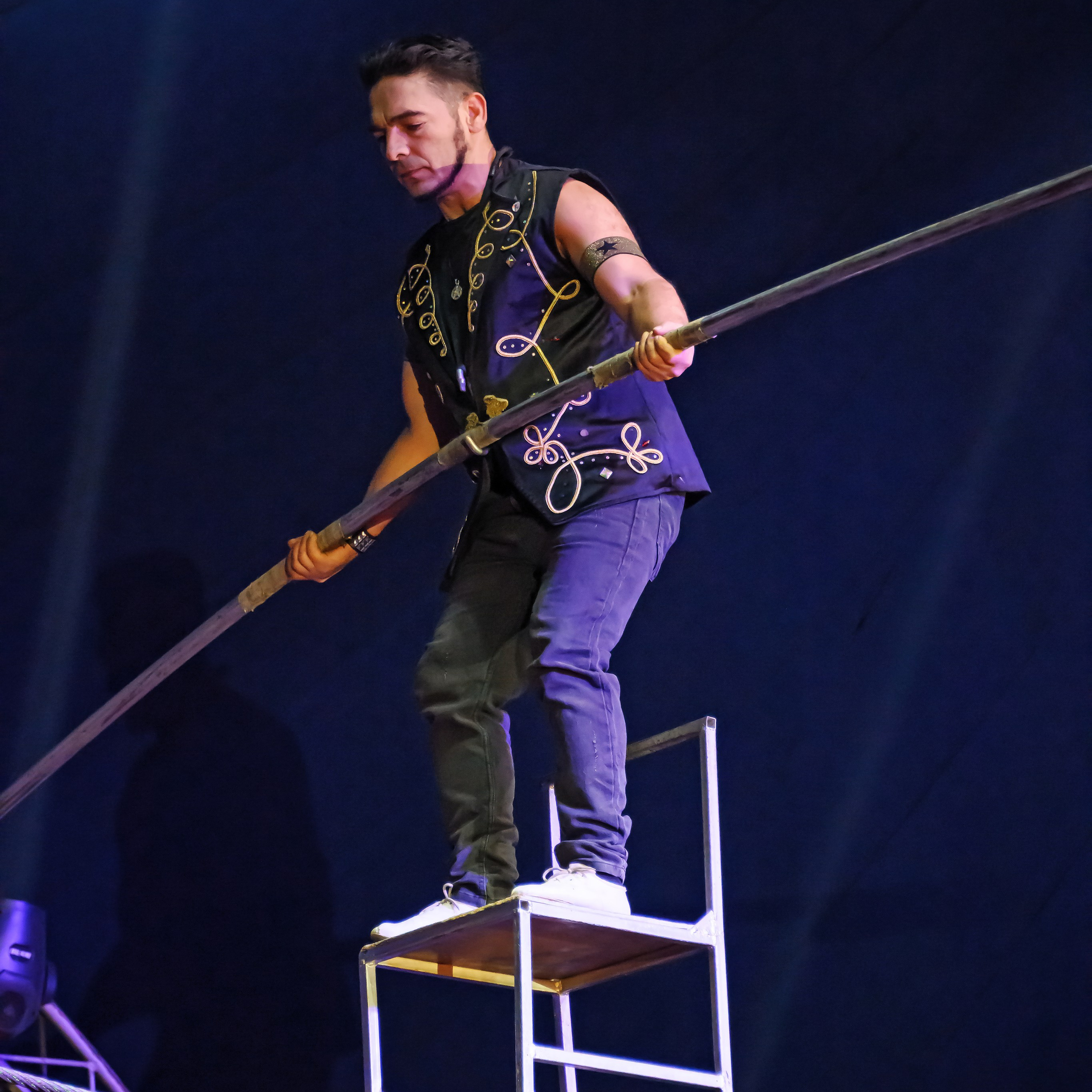 Шоу Демидовых. Цирковой фотограф Андрей Пухов (Jazz)