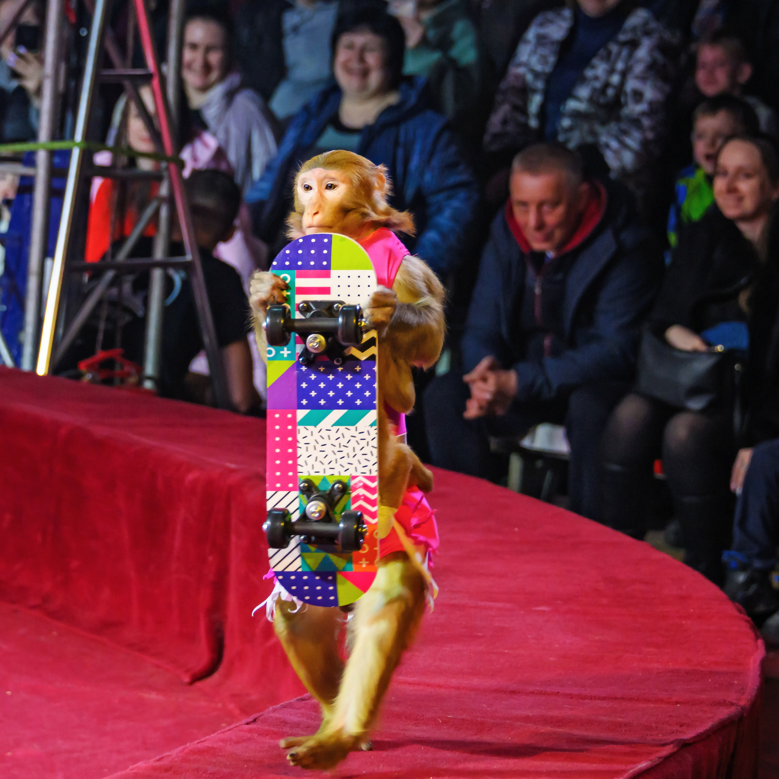Международный цирк"HAPPY CIRCUS». Фотограф Андрей Пухов (Jazz)