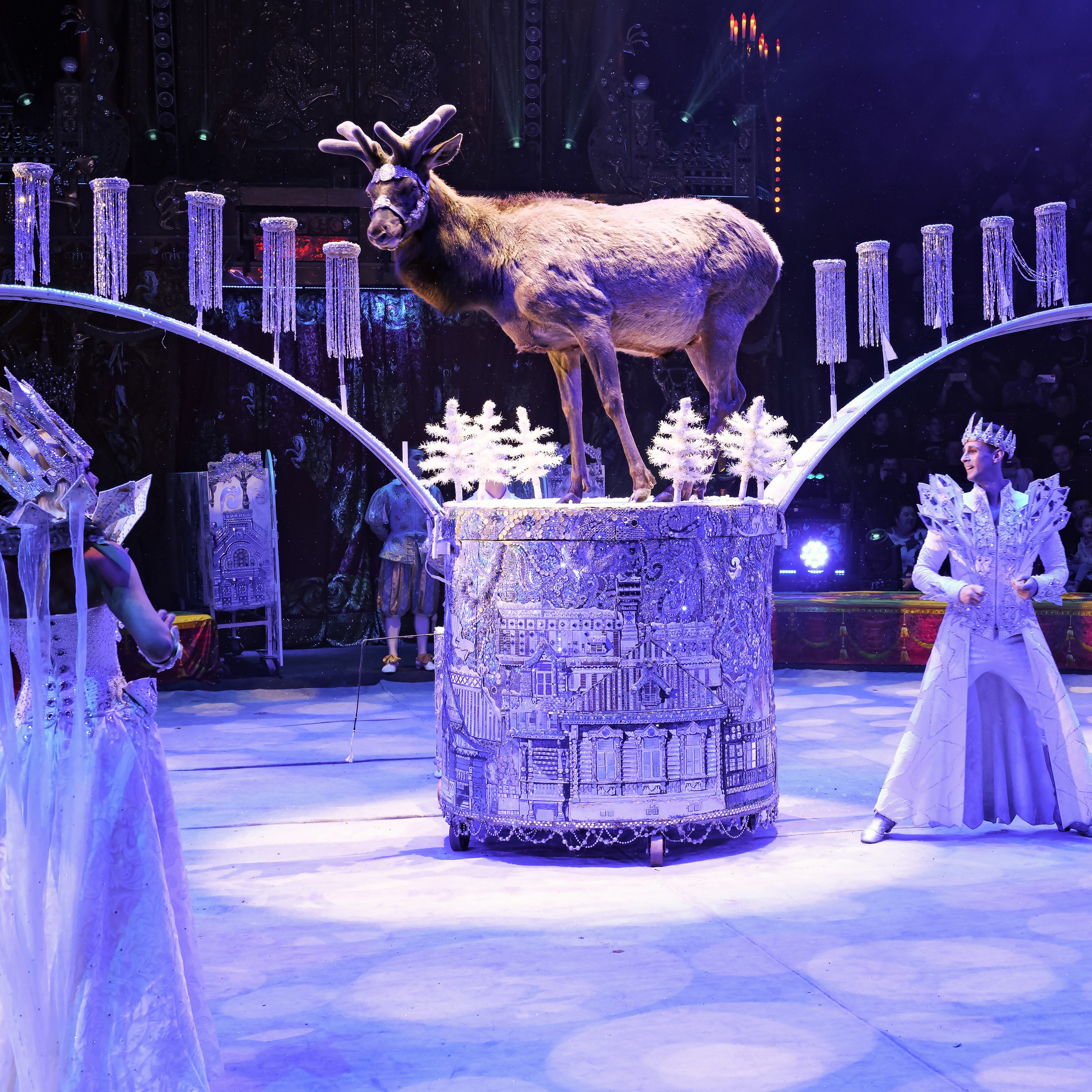 Шоу «Королевский цирк». Фотограф Андрей Пухов (Jazz)