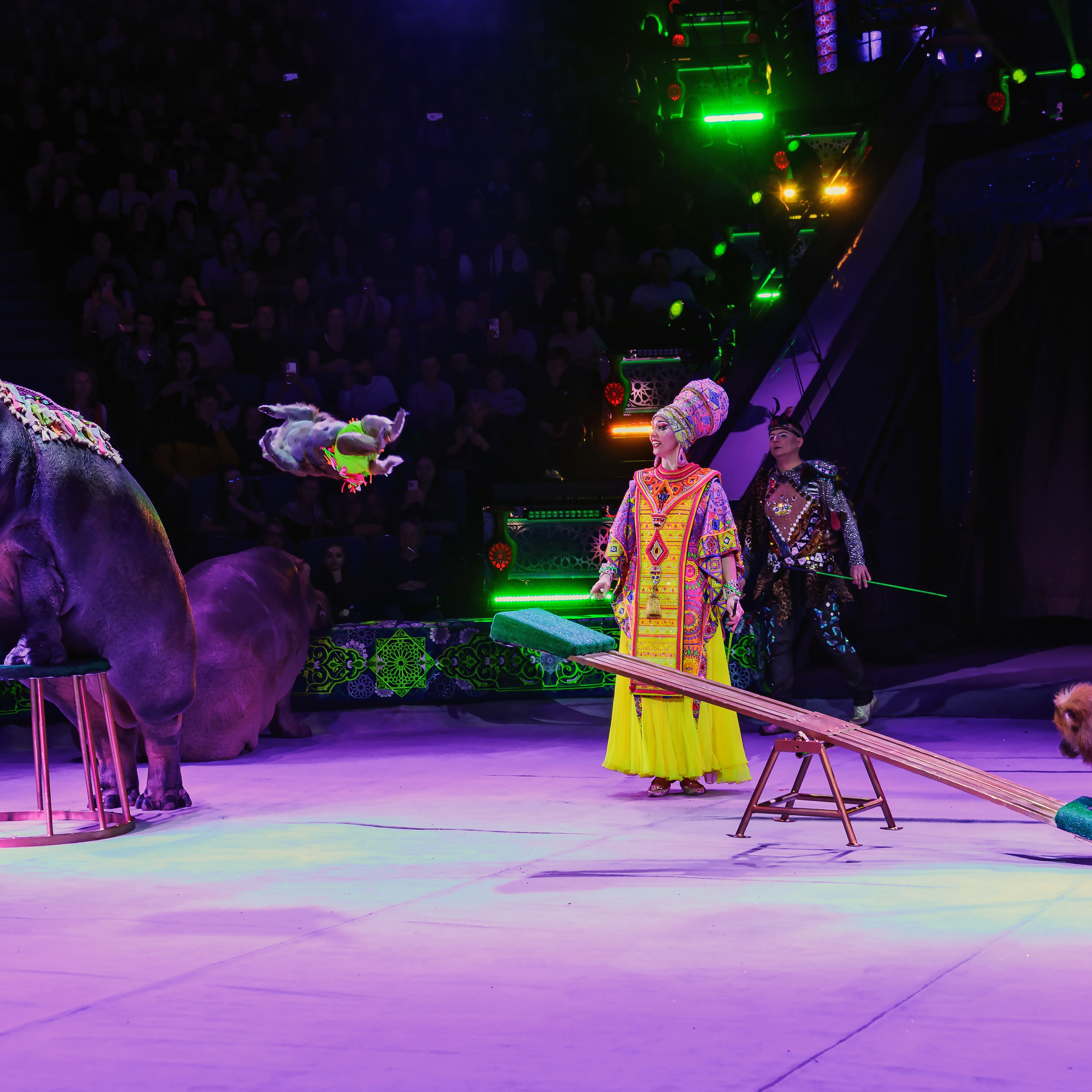 Песчаная сказка Гии Эрадзе — волшебное шоу 🎪, которое должен увидеть каждый, кто ценит красоту🌹, талант 🎭 и умение мечтать 💫. Цирковой фотограф Андрей Пухов (Jazz)