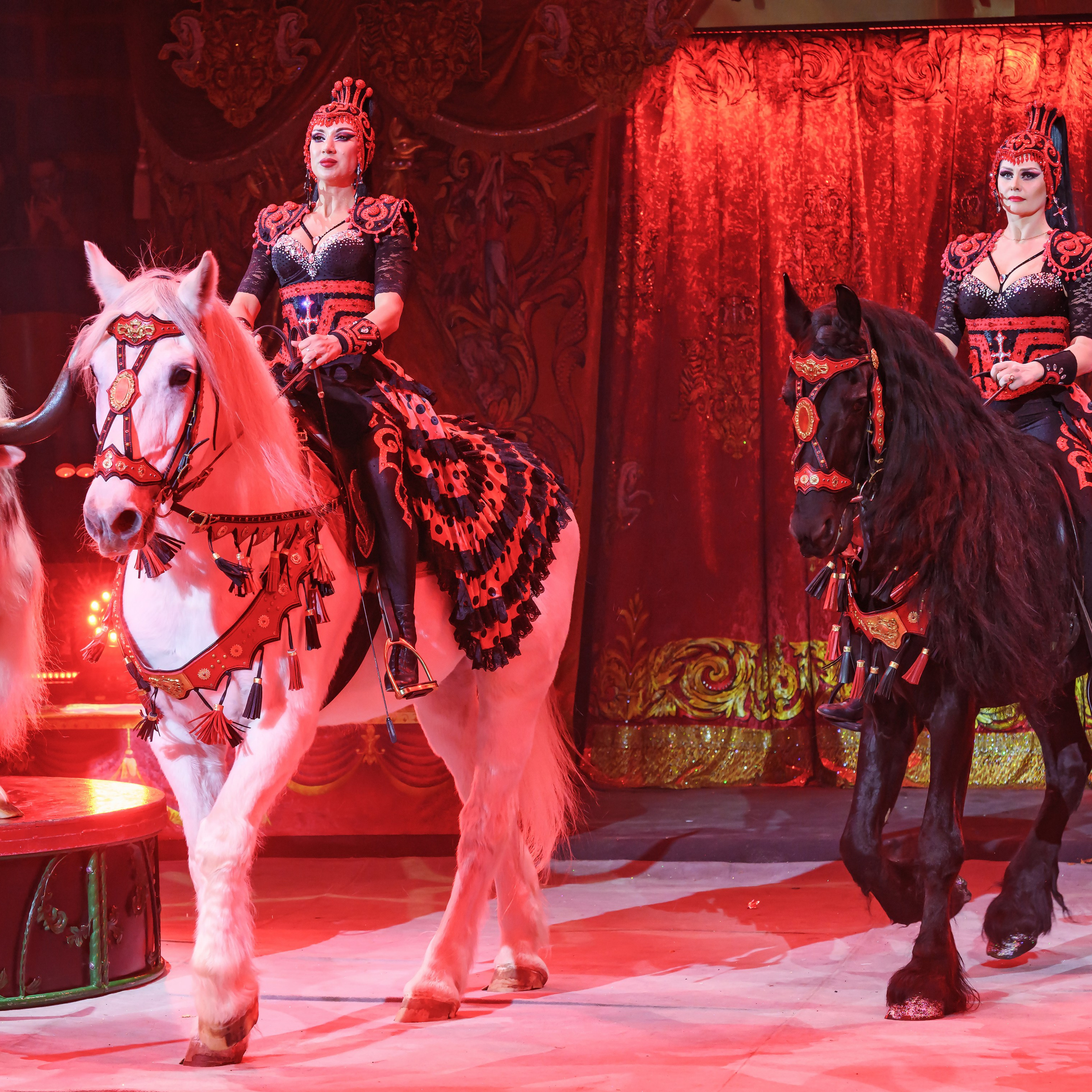 ГРАНДИОЗНОЕ ЦИРКОВОЕ ШОУ ЗАСЛУЖЕННОГО АРТИСТА РОССИИ ГИИ ЭРАДЗЕ. Фотограф Андрей Пухов (Jazz)