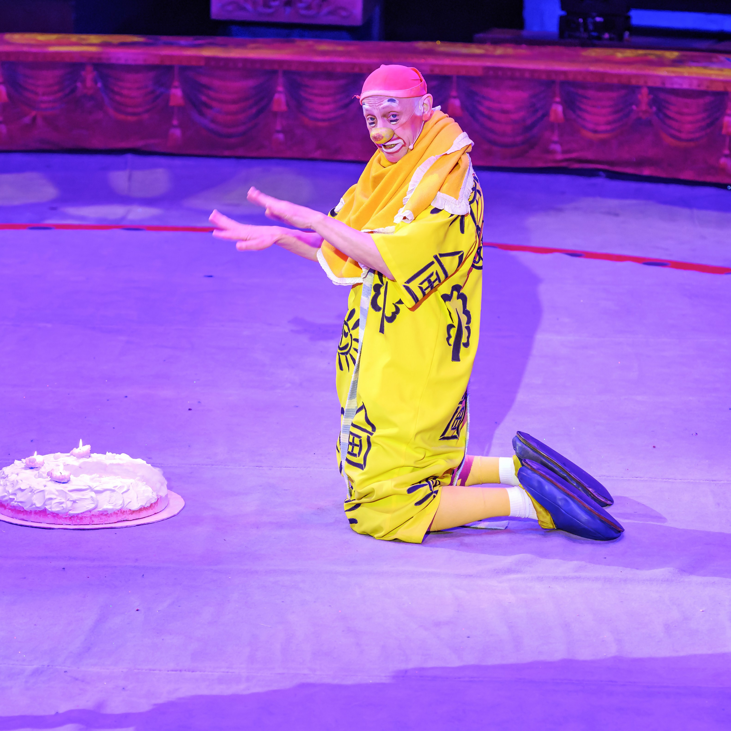 Шоу «Королевский цирк». Фотограф Андрей Пухов (Jazz)