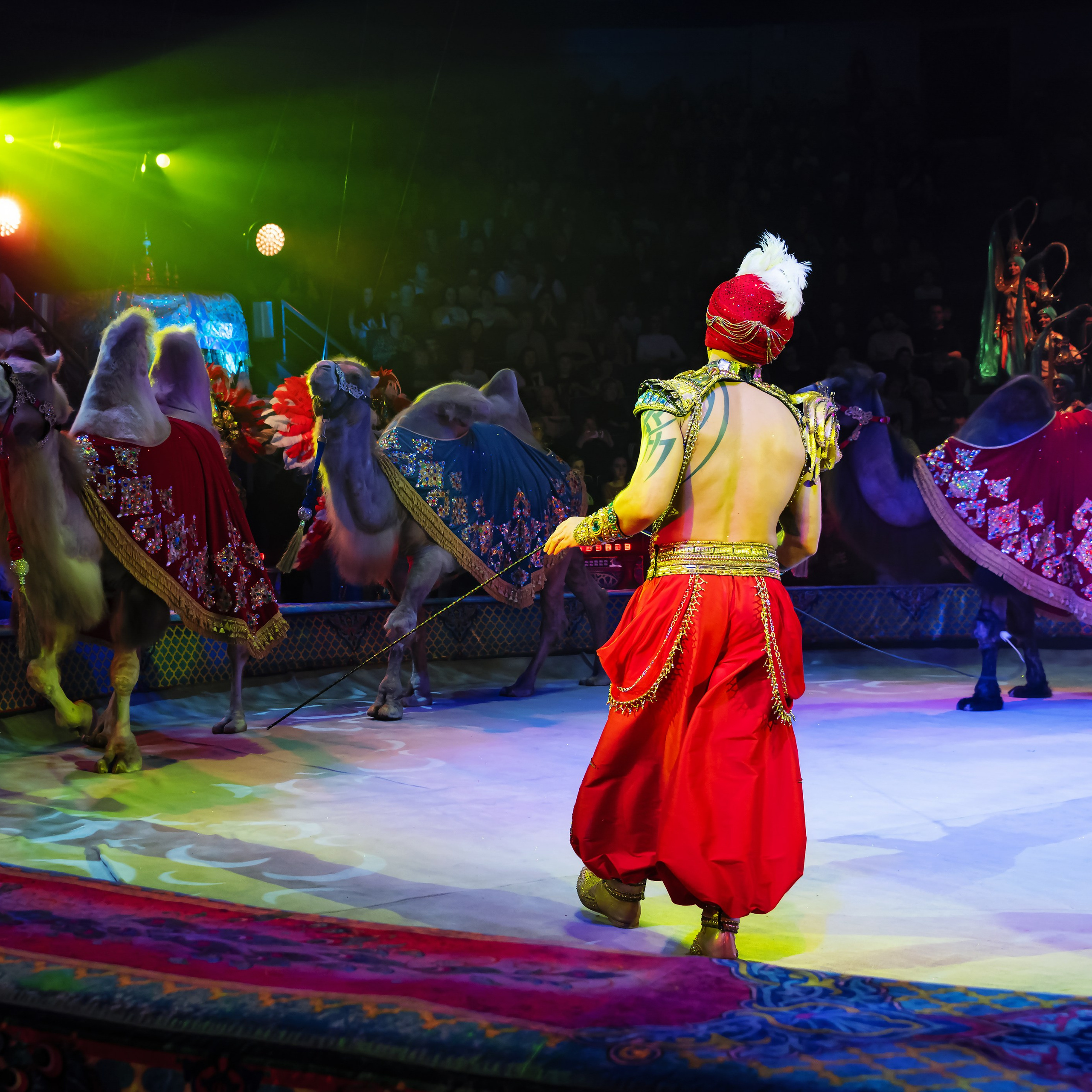 «С окончанием» шоу «Песчаная сказка» в Нижнем Новгороде. ✨🎪🐪. Цирковой фотограф Андрей Пухов (Jazz)