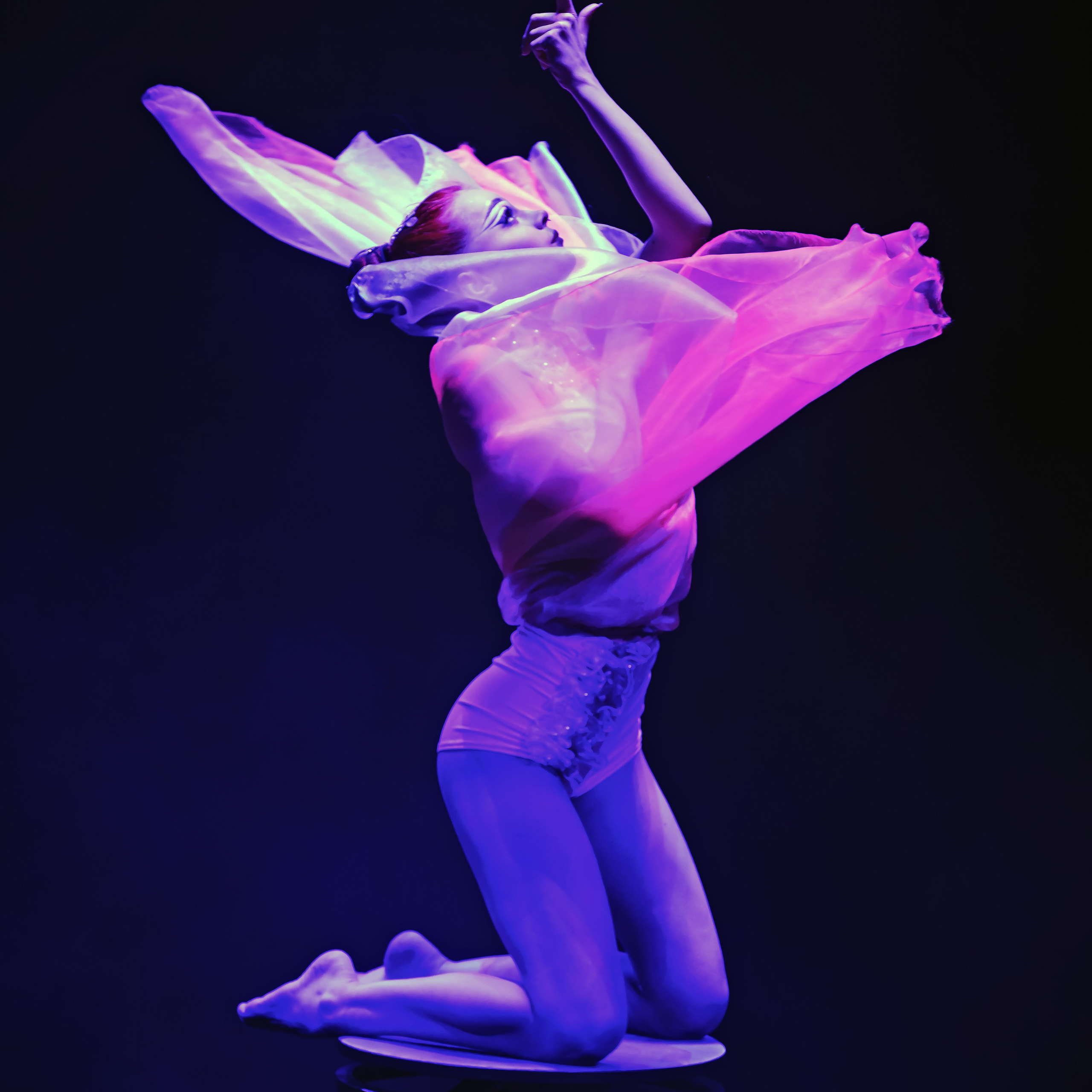 Шоу «Королевский цирк». Фотограф Андрей Пухов (Jazz)