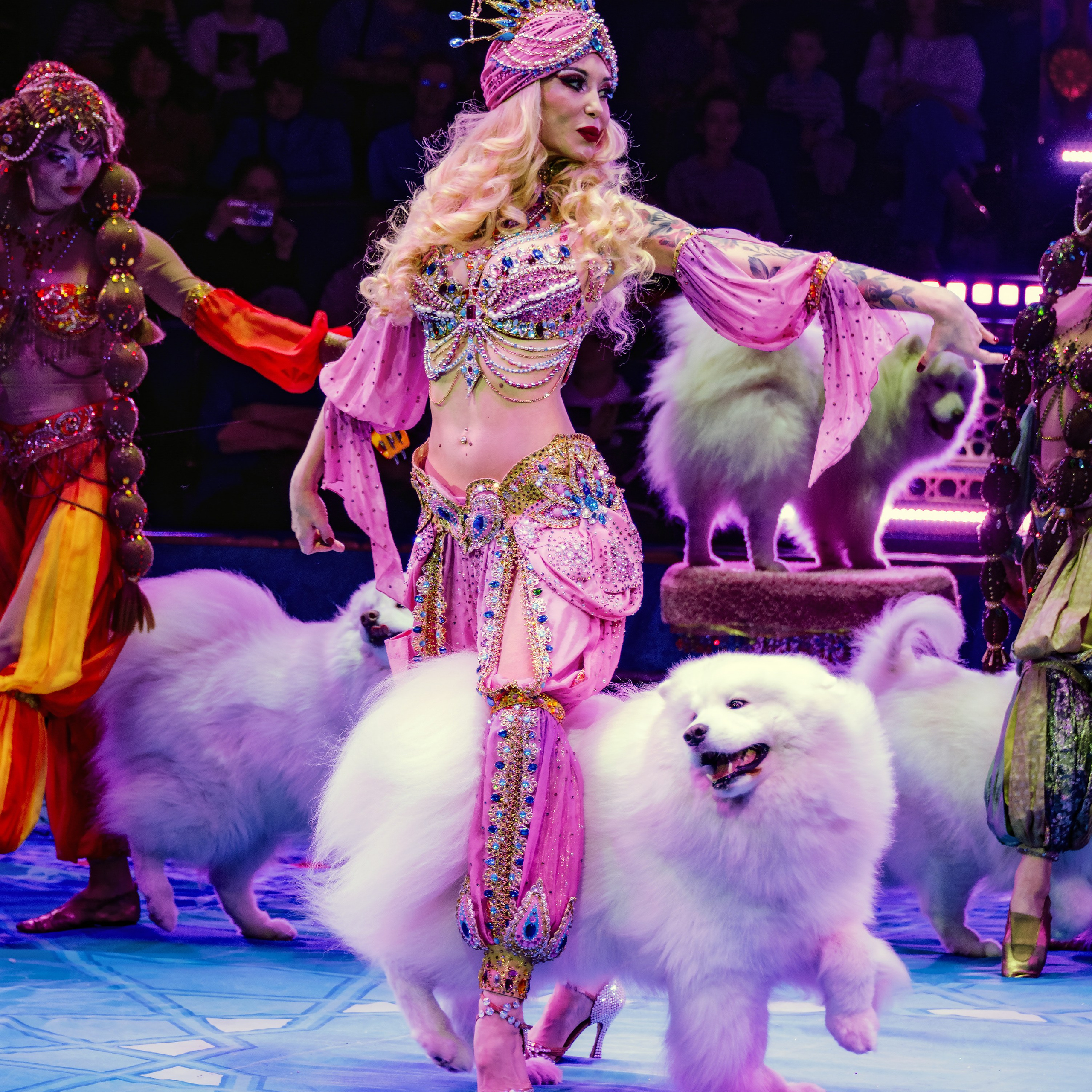 Песчаная сказка Гии Эрадзе — волшебное шоу 🎪, которое должен увидеть каждый, кто ценит красоту🌹, талант 🎭 и умение мечтать 💫. Цирковой фотограф Андрей Пухов (Jazz)