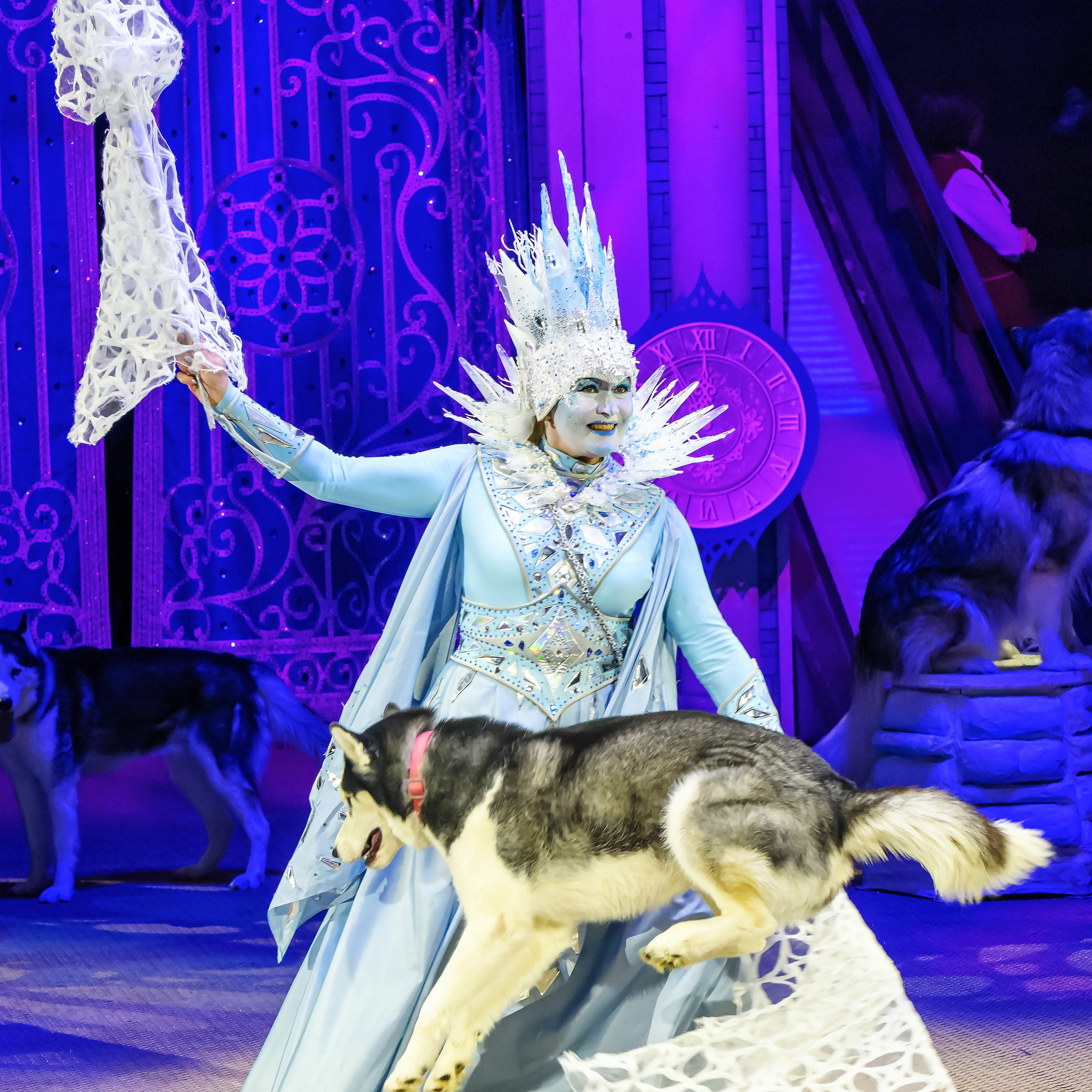 «13 месяцев. Шоу ледяных фонтанов»❄💙. Фотограф Андрей Пухов (Jazz)