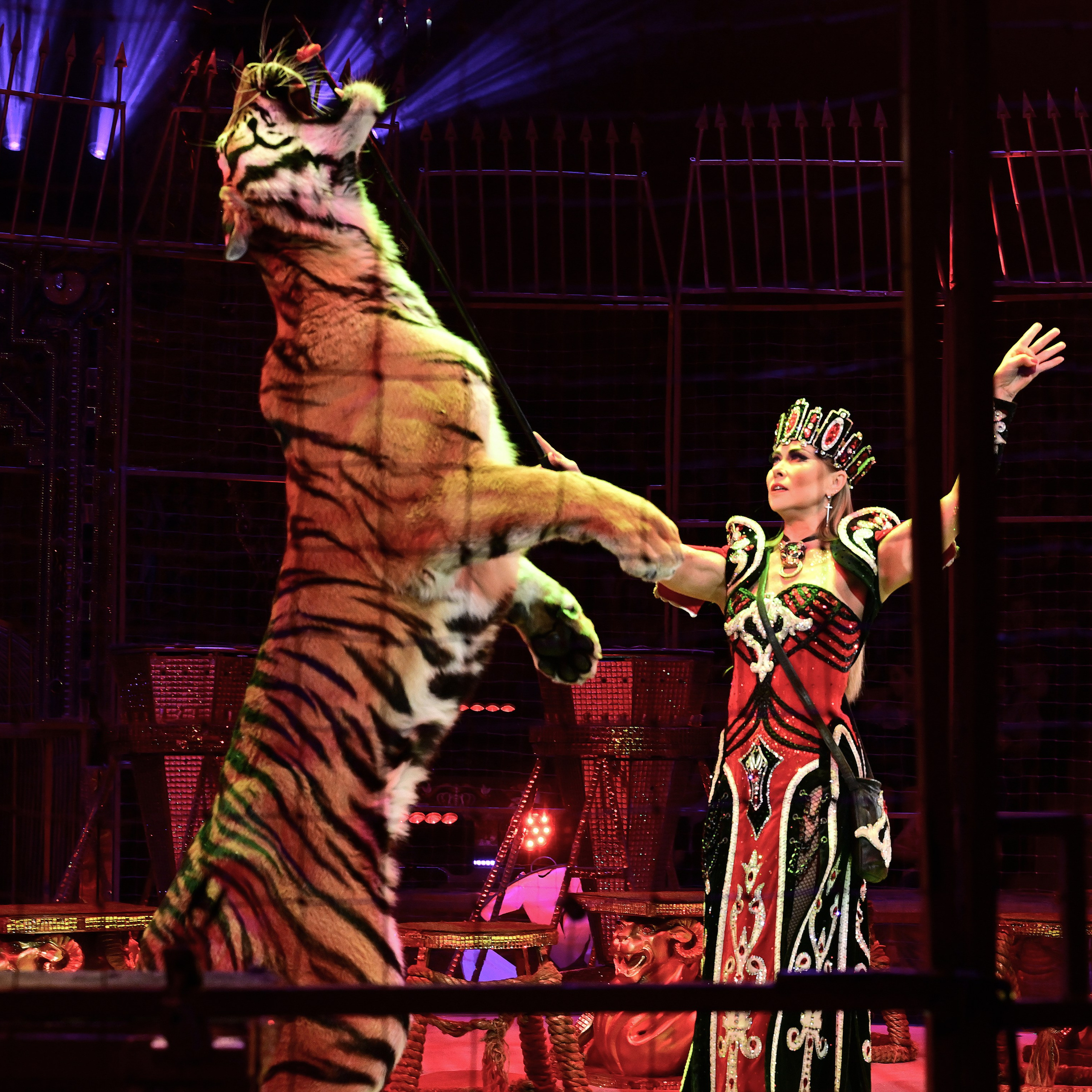 Шоу «Королевский цирк». Фотограф Андрей Пухов (Jazz)