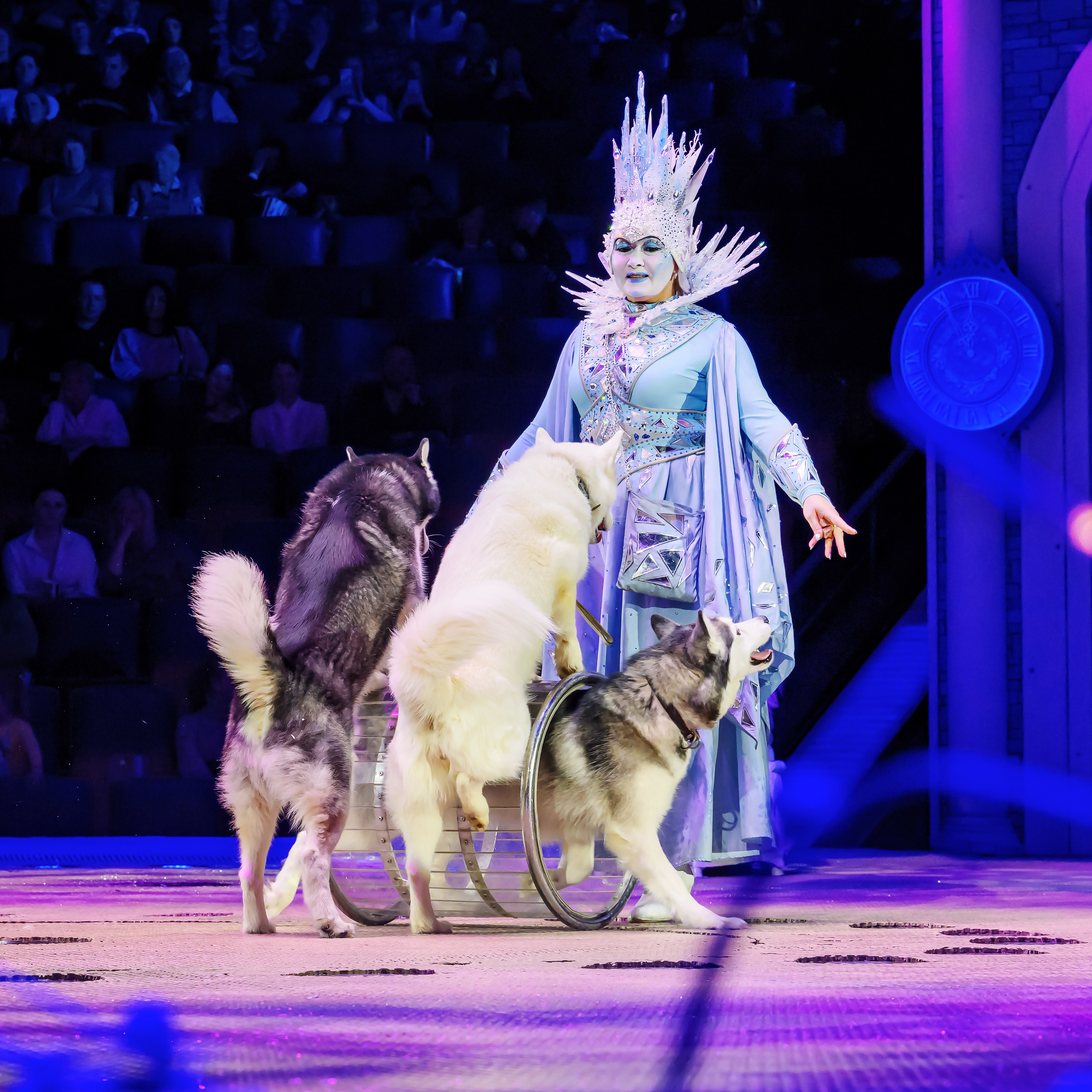 «13 месяцев. Шоу ледяных фонтанов»❄💙. Фотограф Андрей Пухов (Jazz)