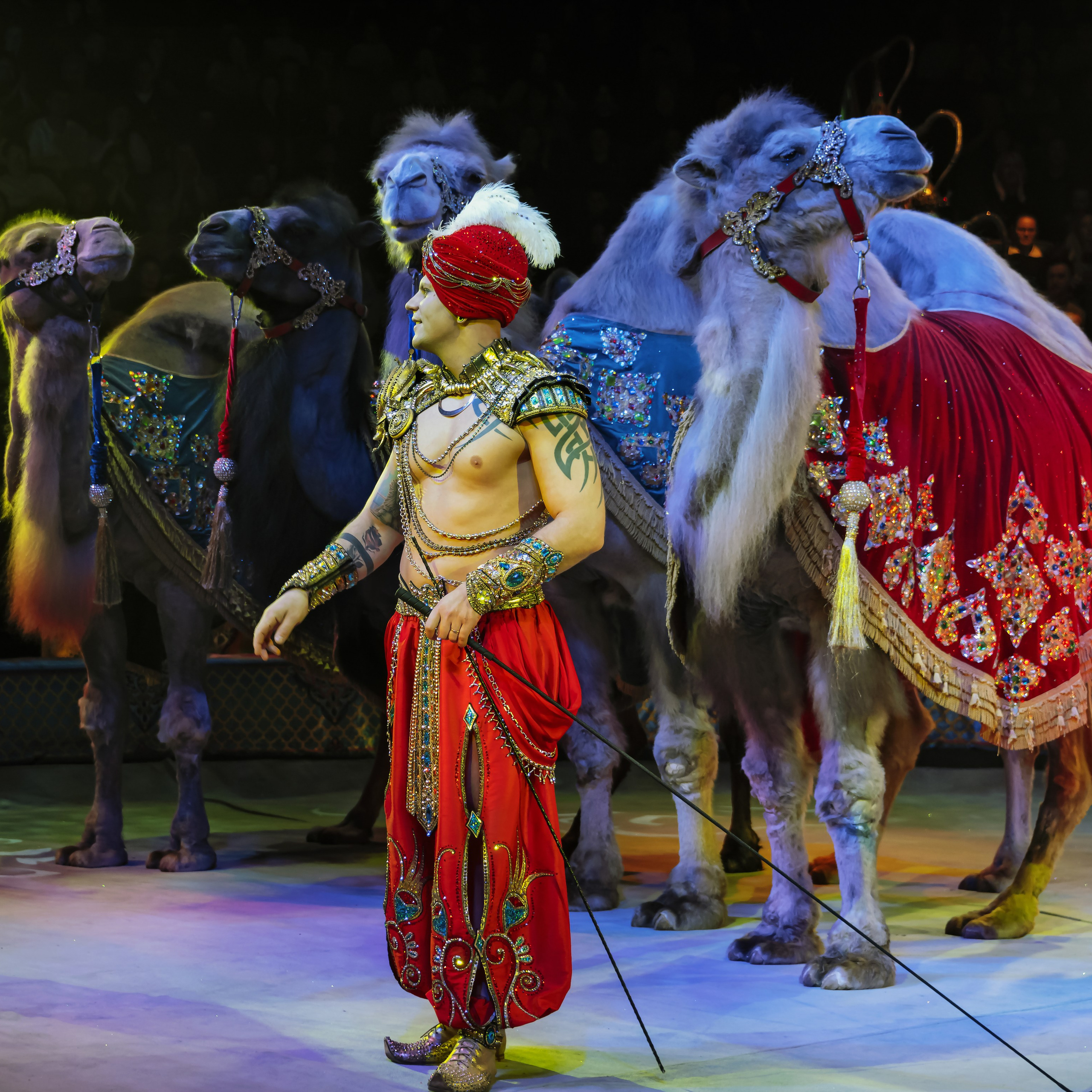 «С окончанием» шоу «Песчаная сказка» в Нижнем Новгороде. ✨🎪🐪. Цирковой фотограф Андрей Пухов (Jazz)