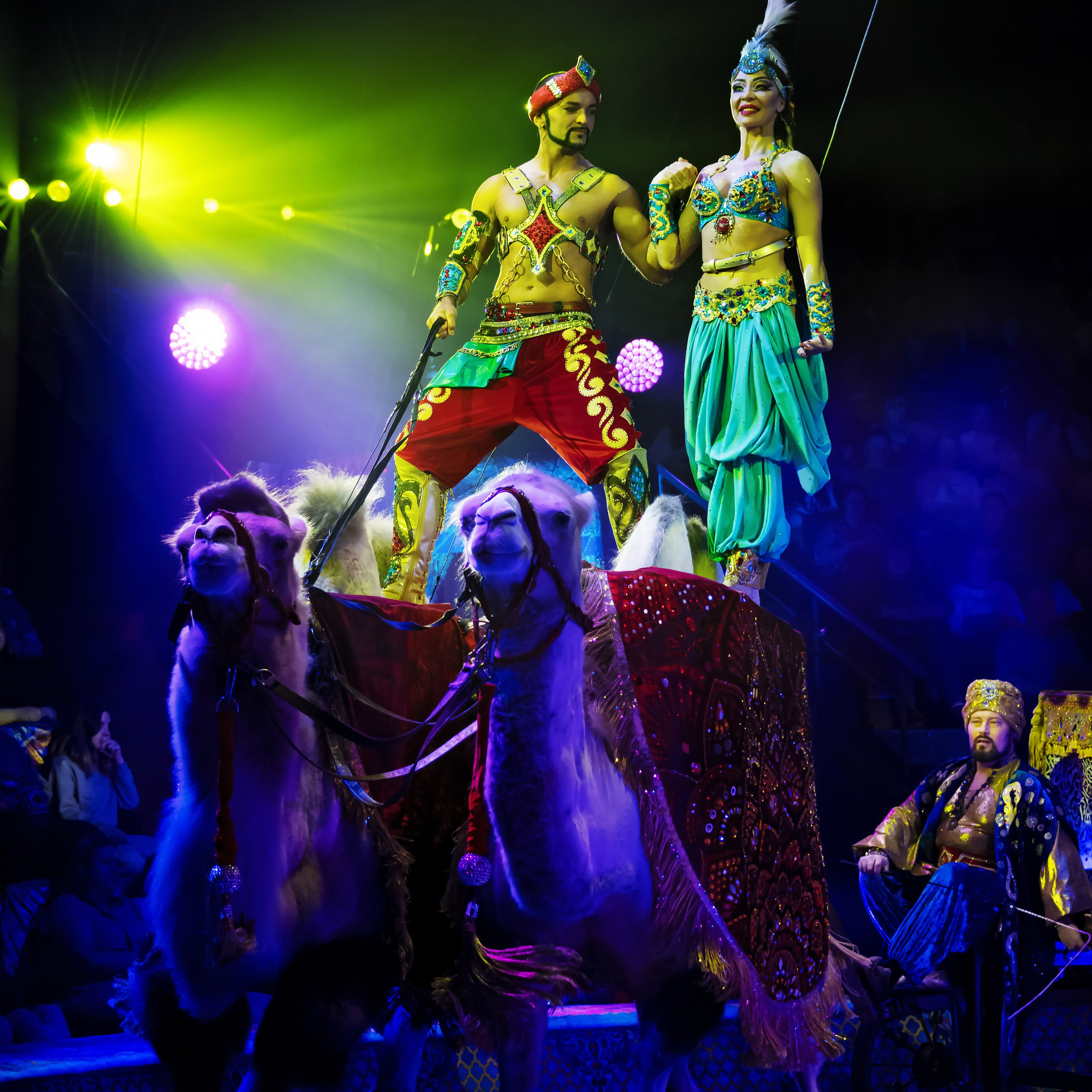 «С окончанием» шоу «Песчаная сказка» в Нижнем Новгороде. ✨🎪🐪. Цирковой фотограф Андрей Пухов (Jazz)