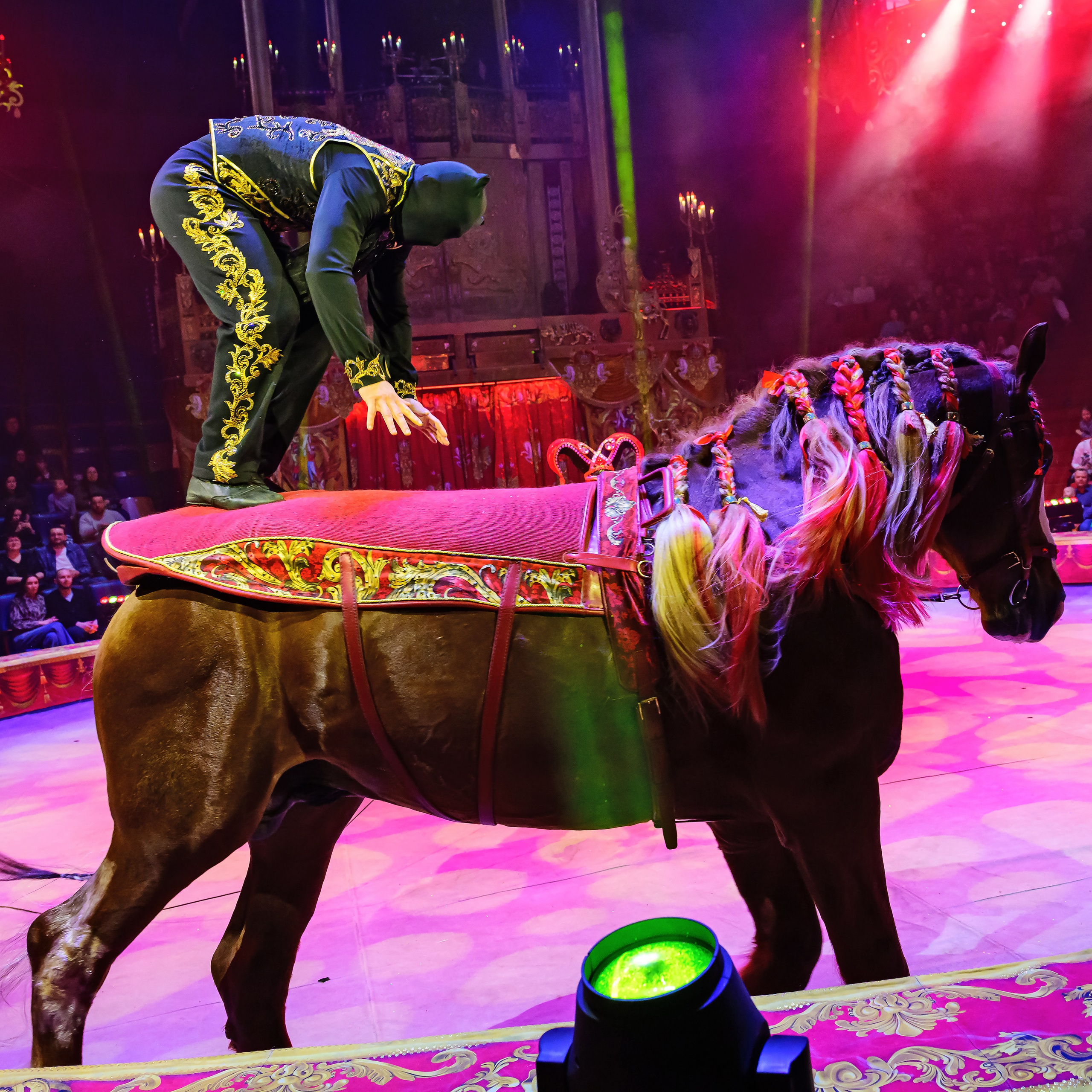 Royal Circus (новые номера). Фотограф Андрей Пухов (Jazz)