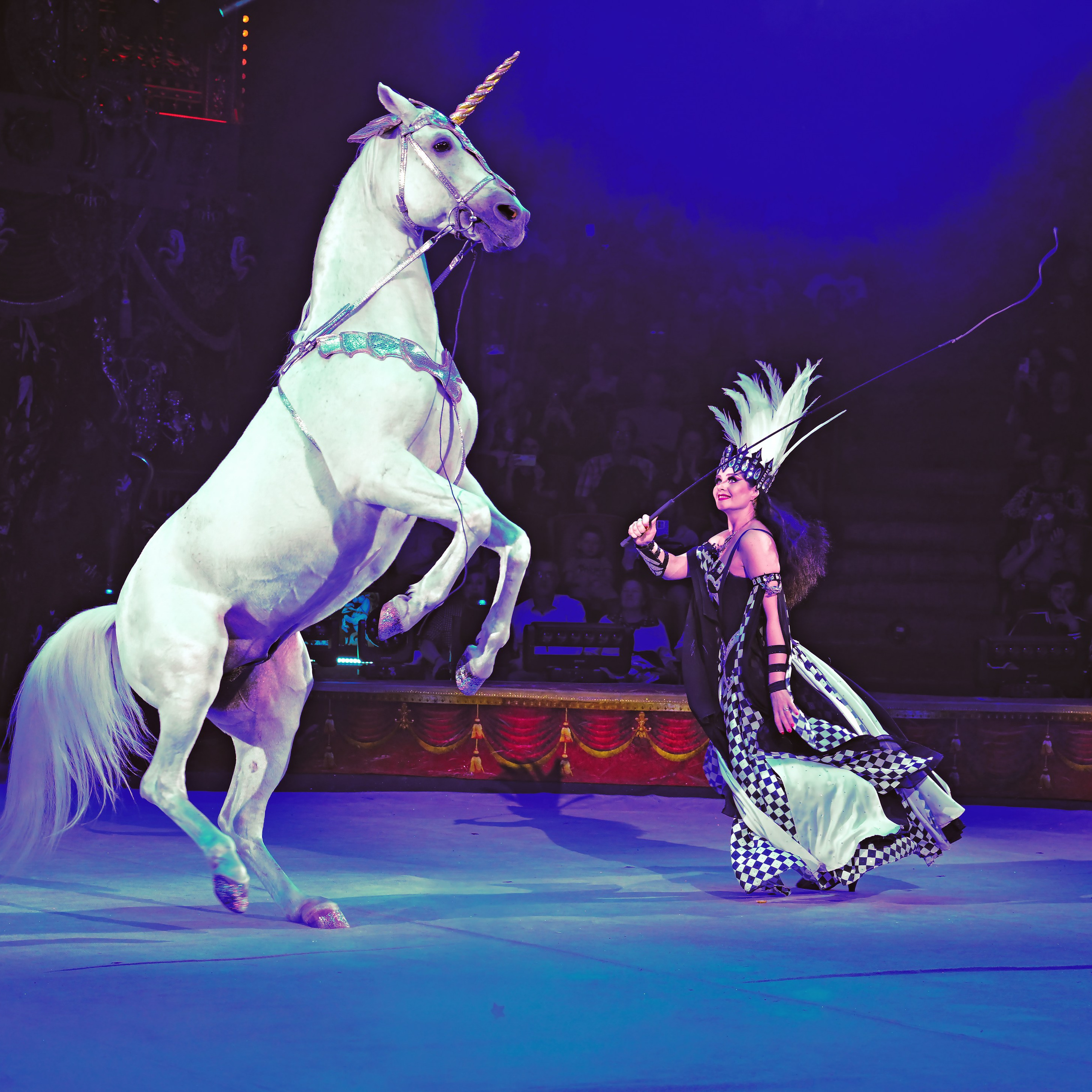 Шоу «Королевский цирк». Фотограф Андрей Пухов (Jazz)