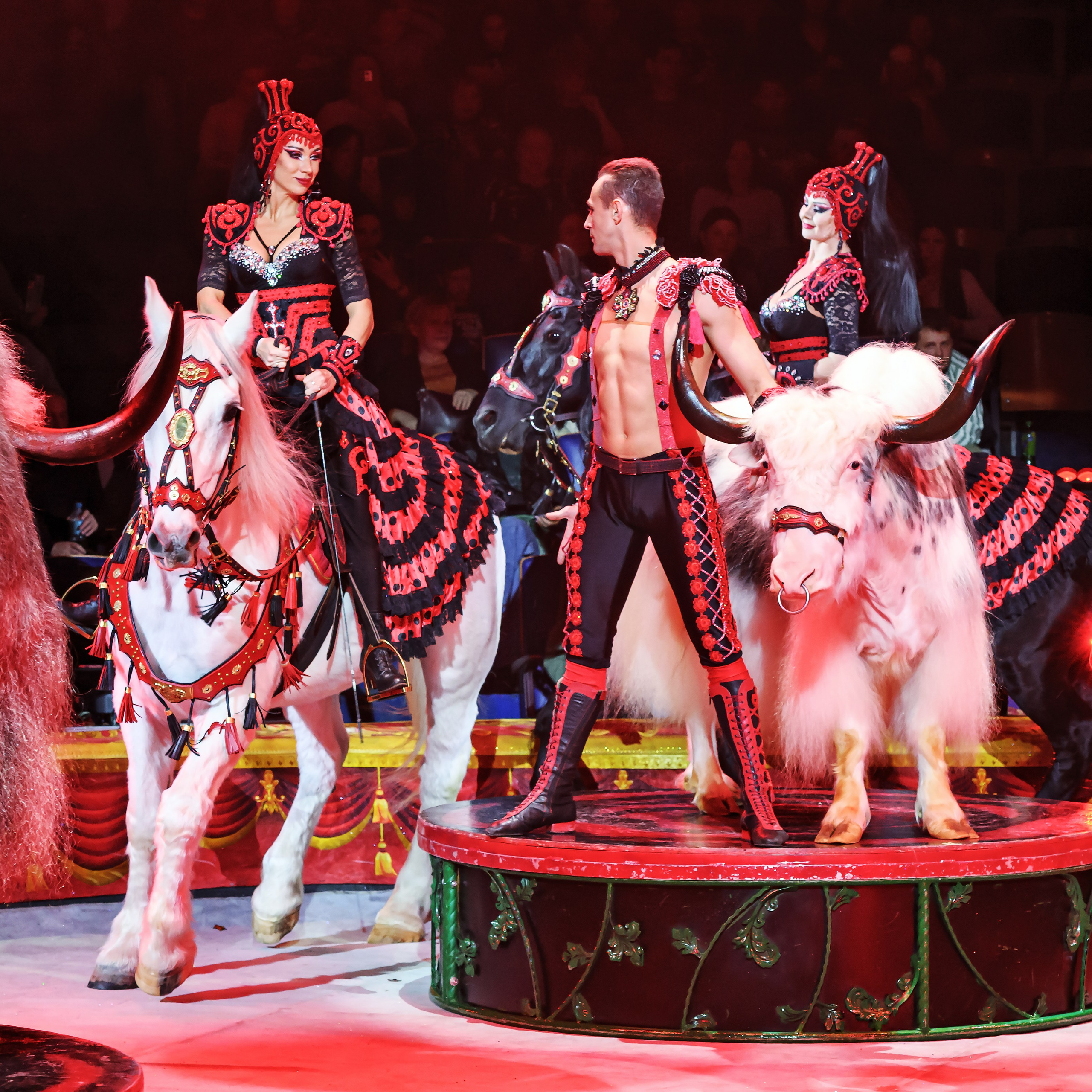 Шоу «Королевский цирк». Фотограф Андрей Пухов (Jazz)