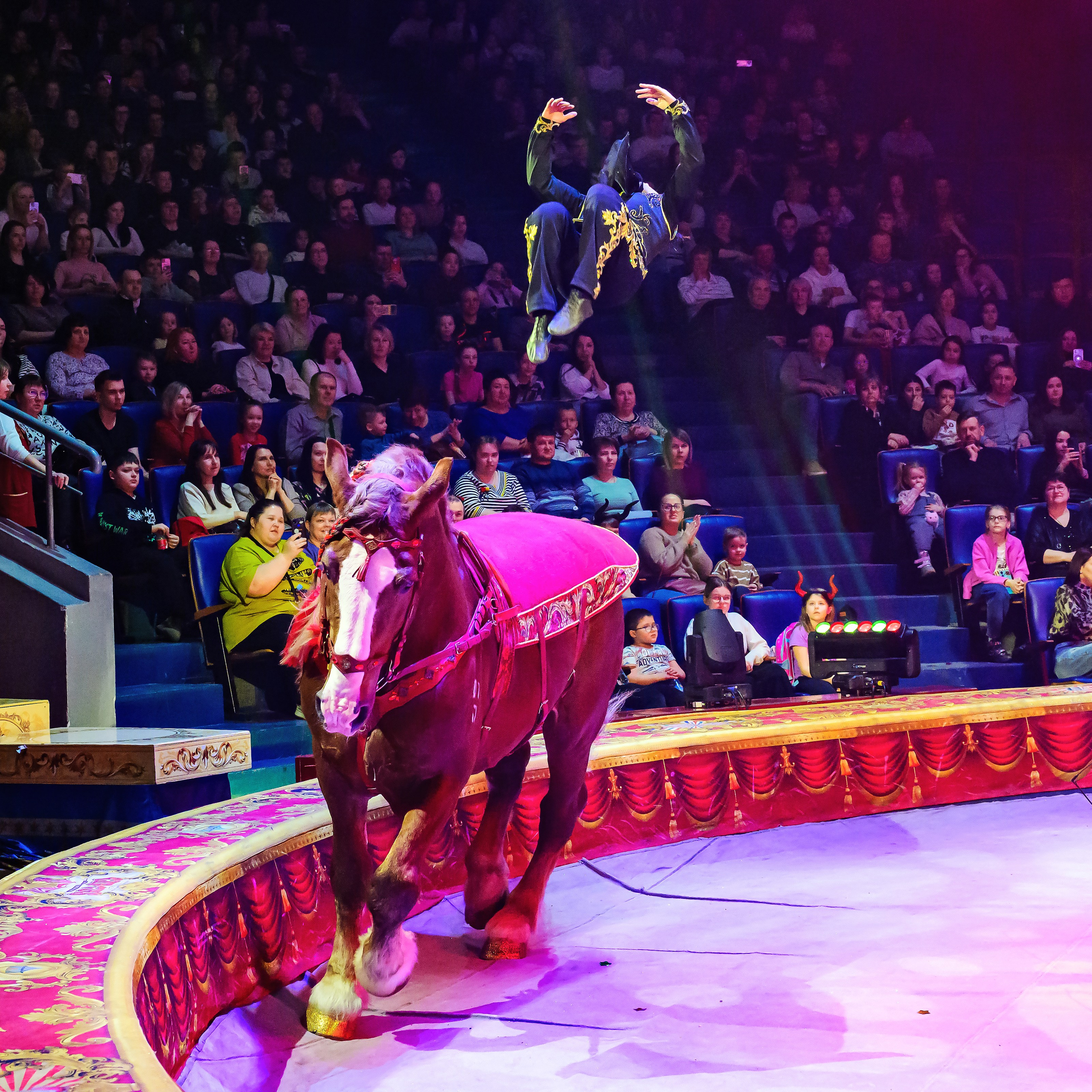 Royal Circus (новые номера). Фотограф Андрей Пухов (Jazz)