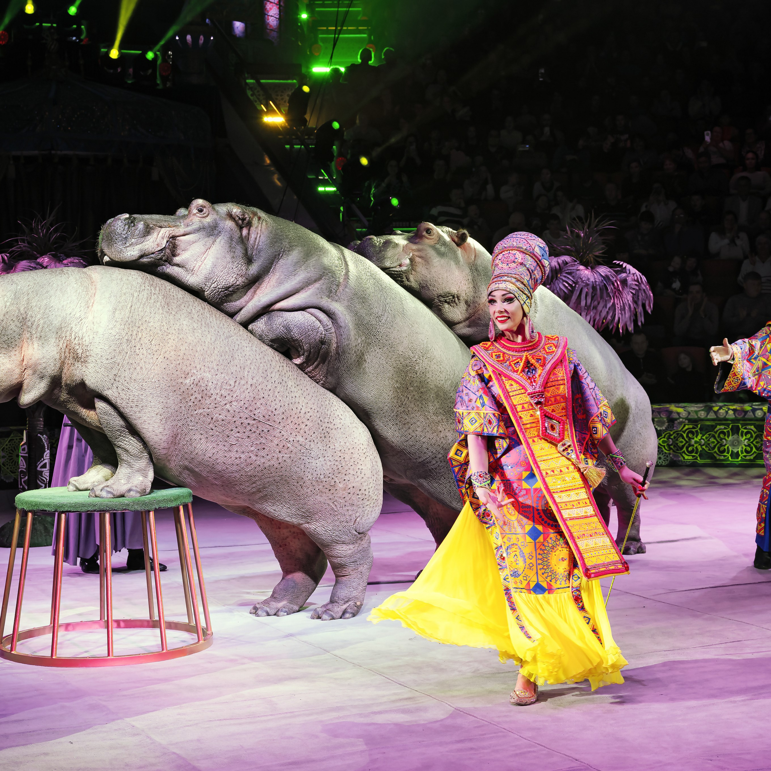 Песчаная сказка — Нижегородский Государственный Цирк (Премьера). Цирковой фотограф Андрей Пухов (Jazz)