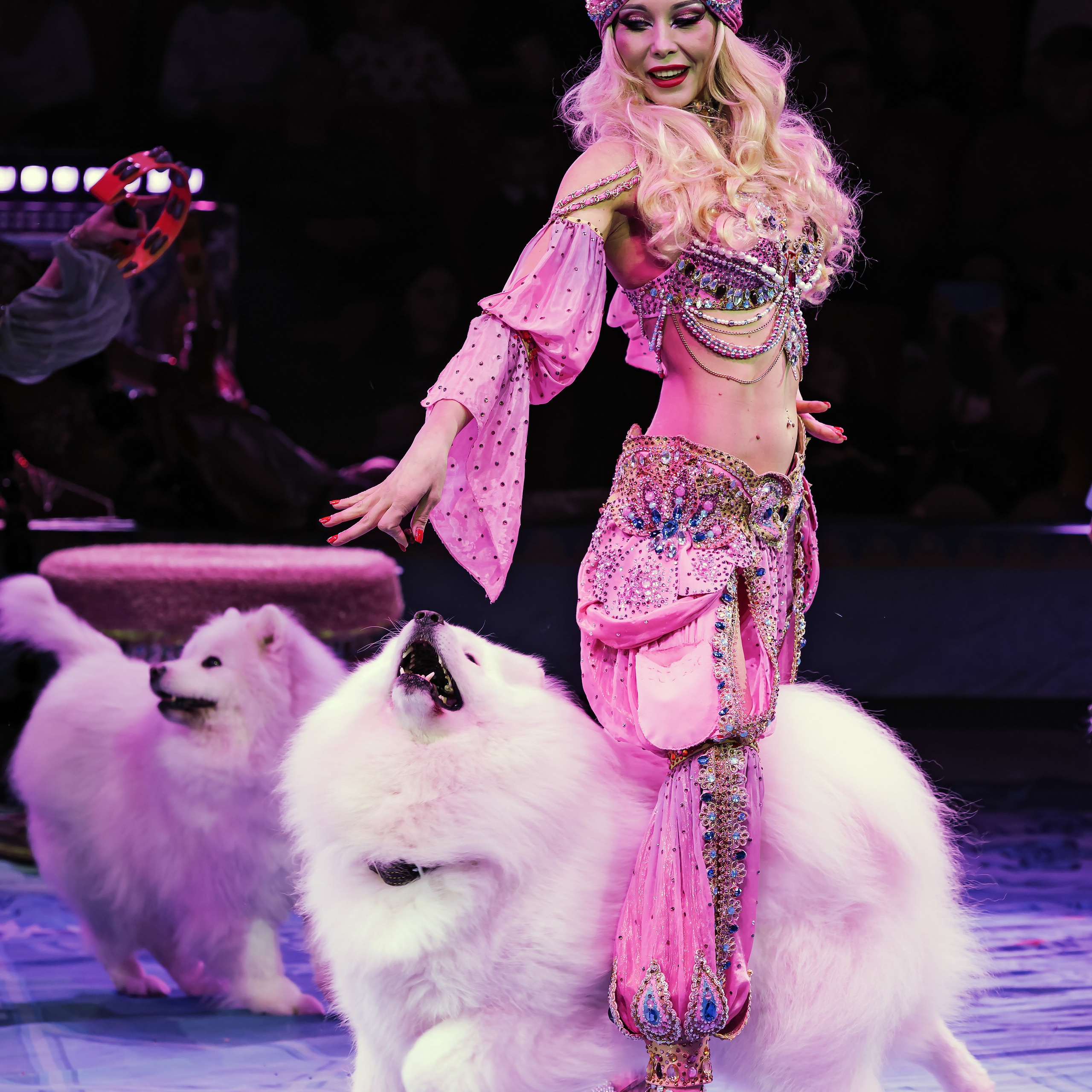 Песчаная сказка — Нижегородский Государственный Цирк (Премьера). Цирковой фотограф Андрей Пухов (Jazz)