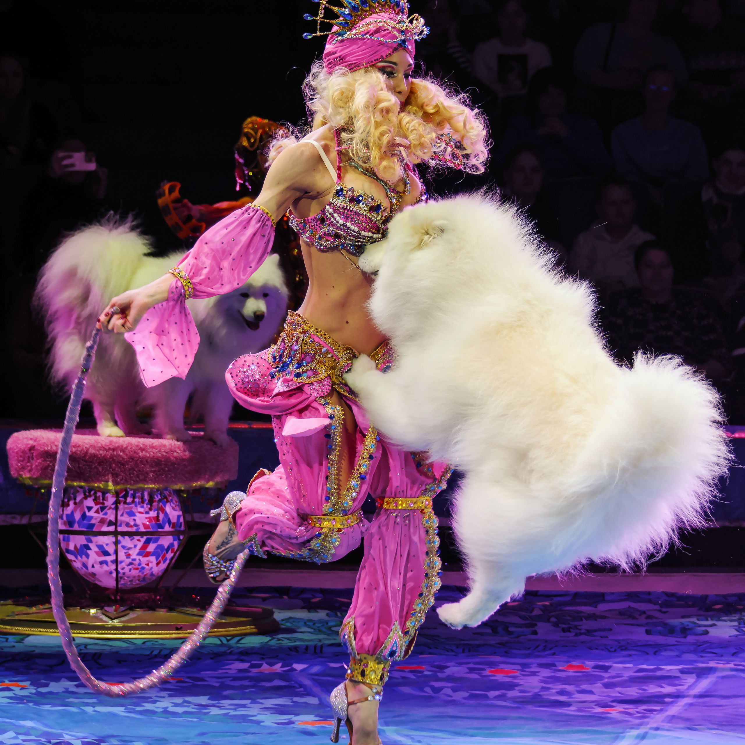 Песчаная сказка Гии Эрадзе — волшебное шоу 🎪, которое должен увидеть каждый, кто ценит красоту🌹, талант 🎭 и умение мечтать 💫. Цирковой фотограф Андрей Пухов (Jazz)