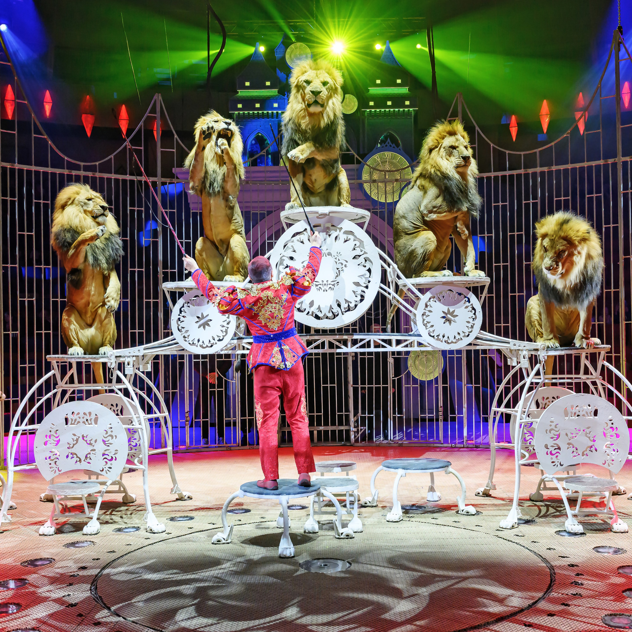 «13 месяцев. Шоу ледяных фонтанов»❄💙. Фотограф Андрей Пухов (Jazz)