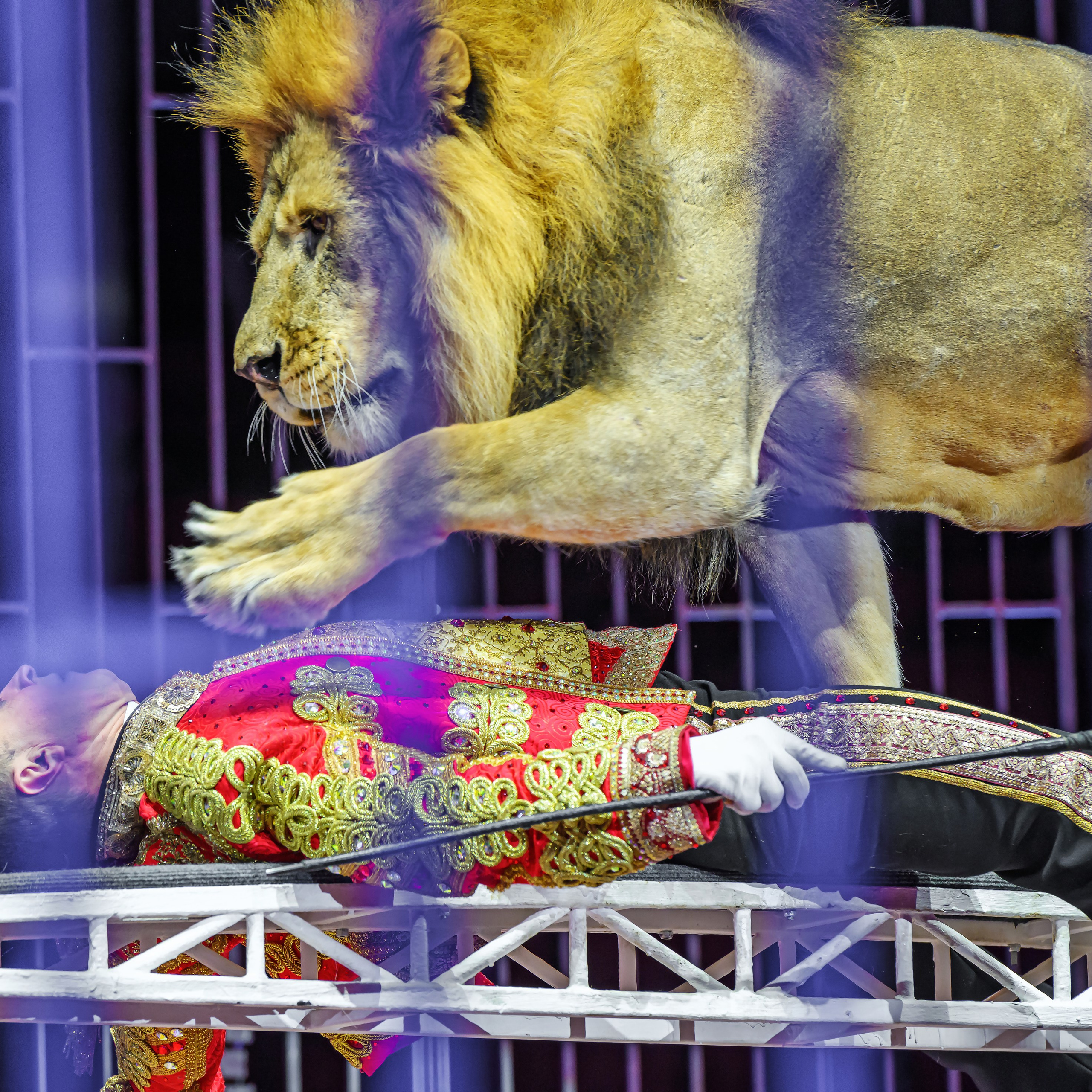 Принц Цирка (Продюсерский центр Влада Гончарова)🎪🦁. Фотограф Андрей Пухов (Jazz)