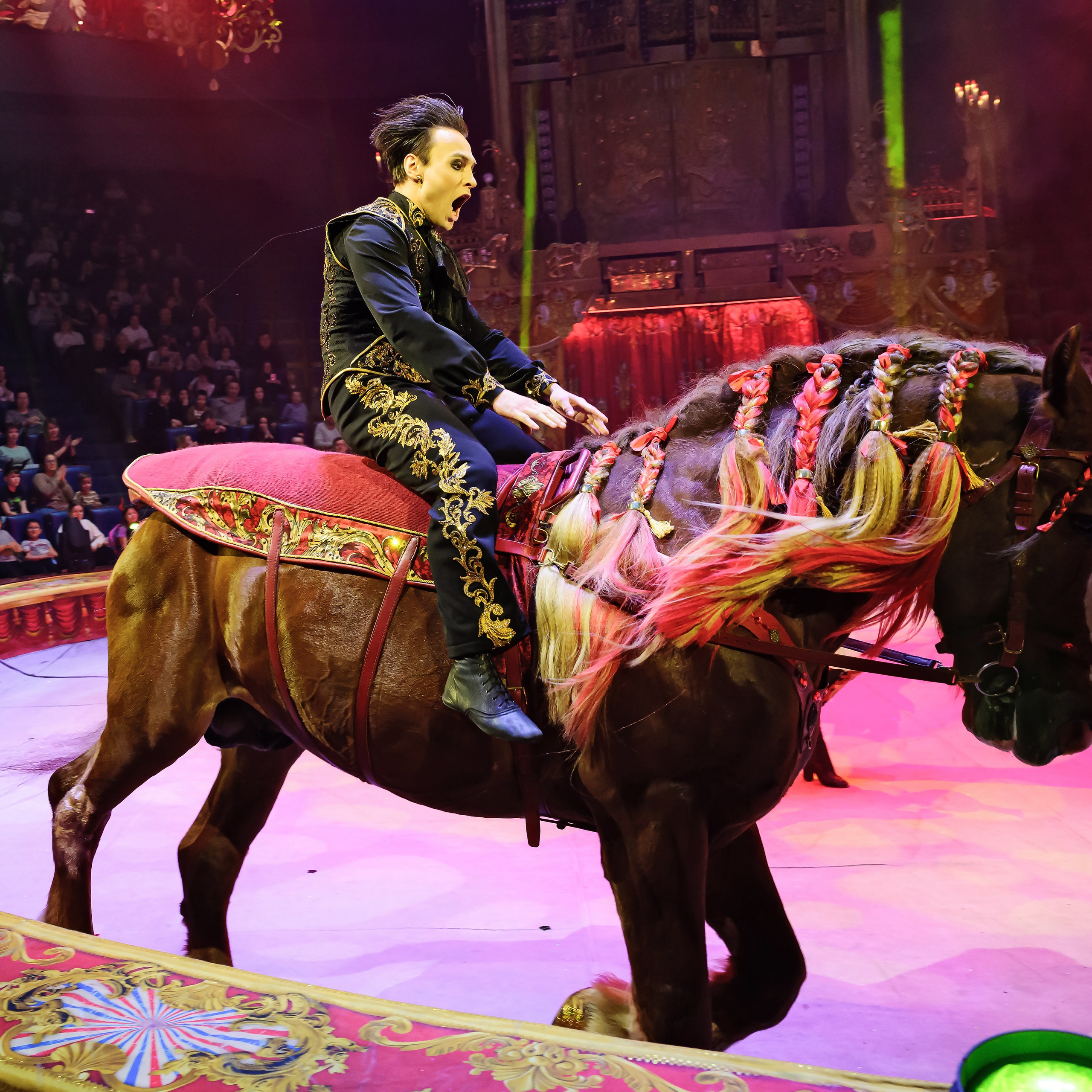 Royal Circus (новые номера). Фотограф Андрей Пухов (Jazz)