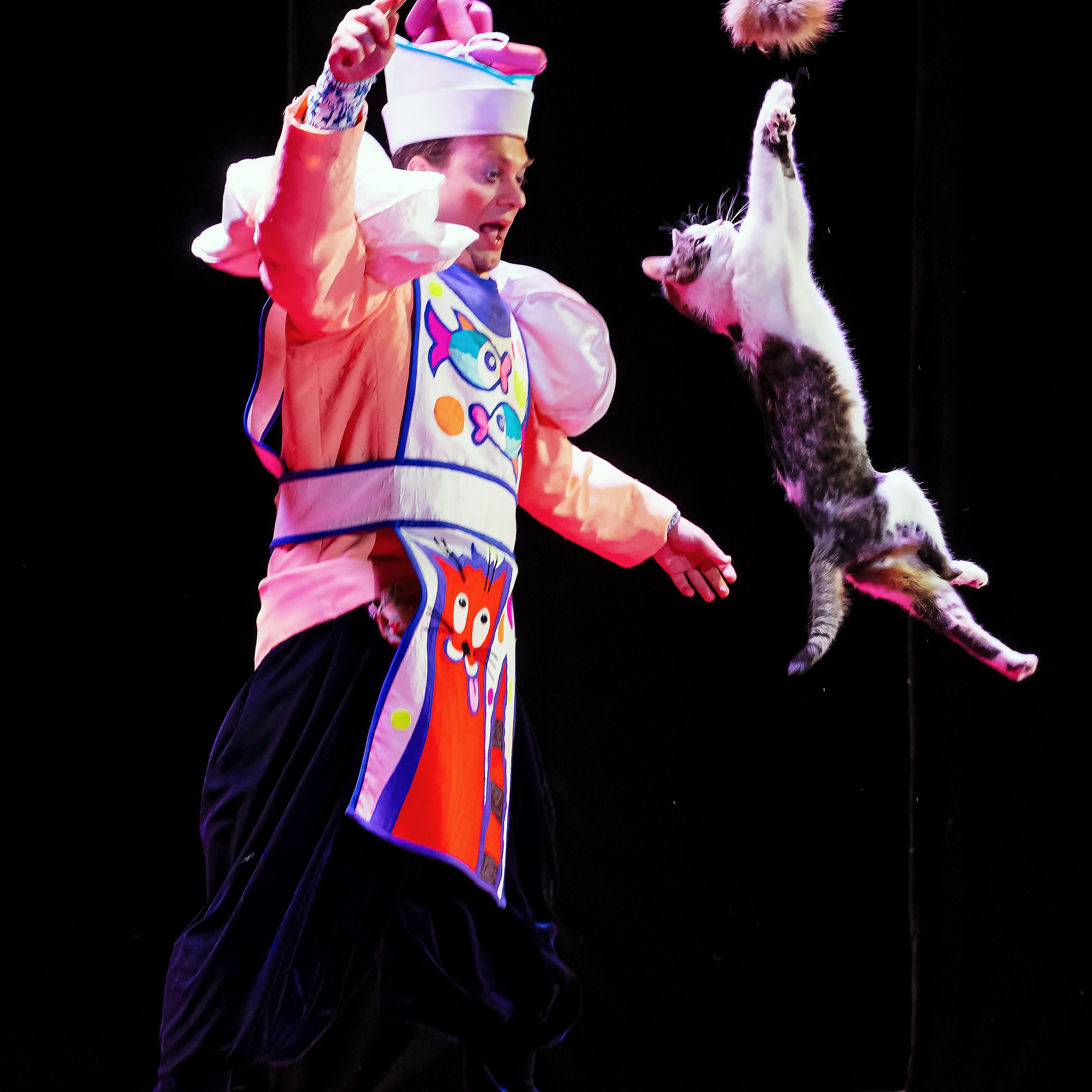 Великий клоун, Народный артист России, Юрий Куклачёв со звёздами эстрады и цирка, уникальный бенефис!. Фотограф Андрей Пухов (Jazz)