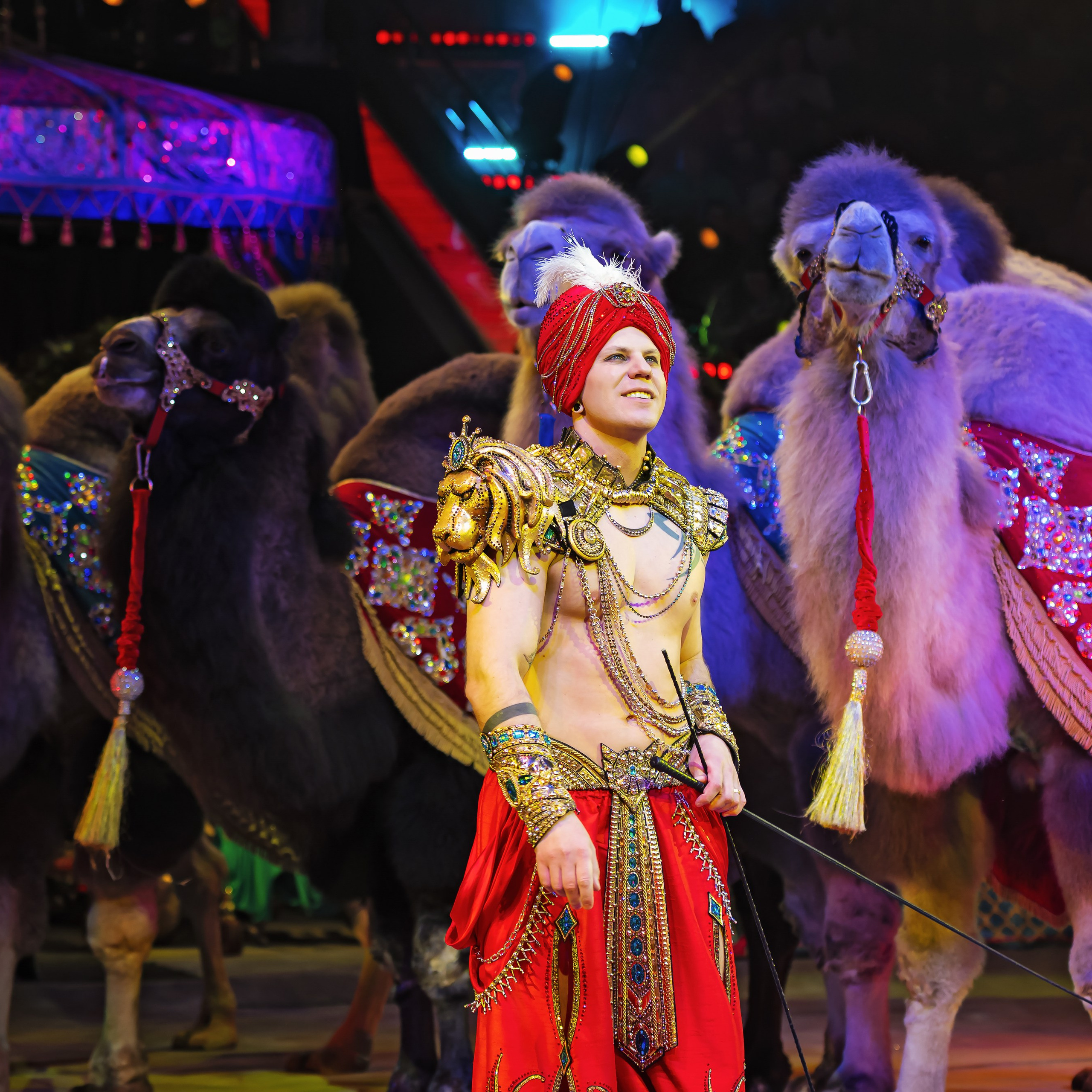 Песчаная сказка — Нижегородский Государственный Цирк (Премьера). Цирковой фотограф Андрей Пухов (Jazz)