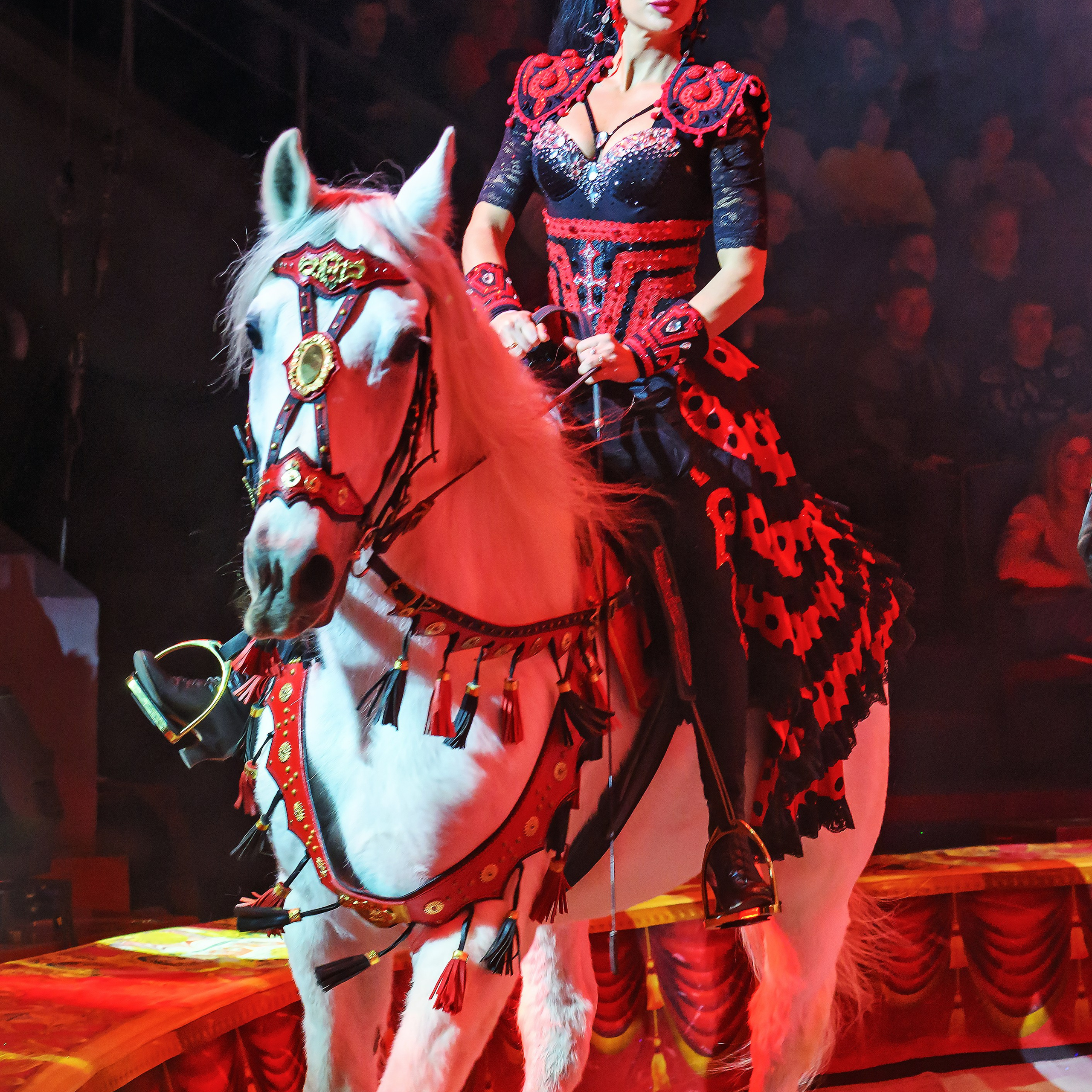 Шоу «Королевский цирк». Фотограф Андрей Пухов (Jazz)