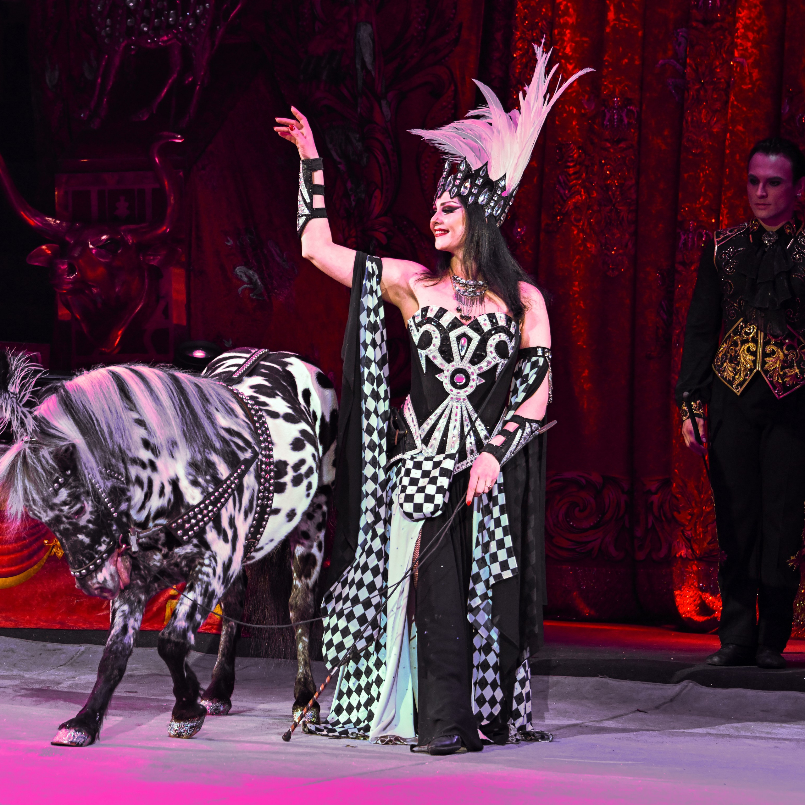 Вечное искусство удивлять: Королевский цирк Гии Эрадзе 👑 Роскошь здесь в каждой детали 💫✨⭐. Фотограф Андрей Пухов (Jazz)