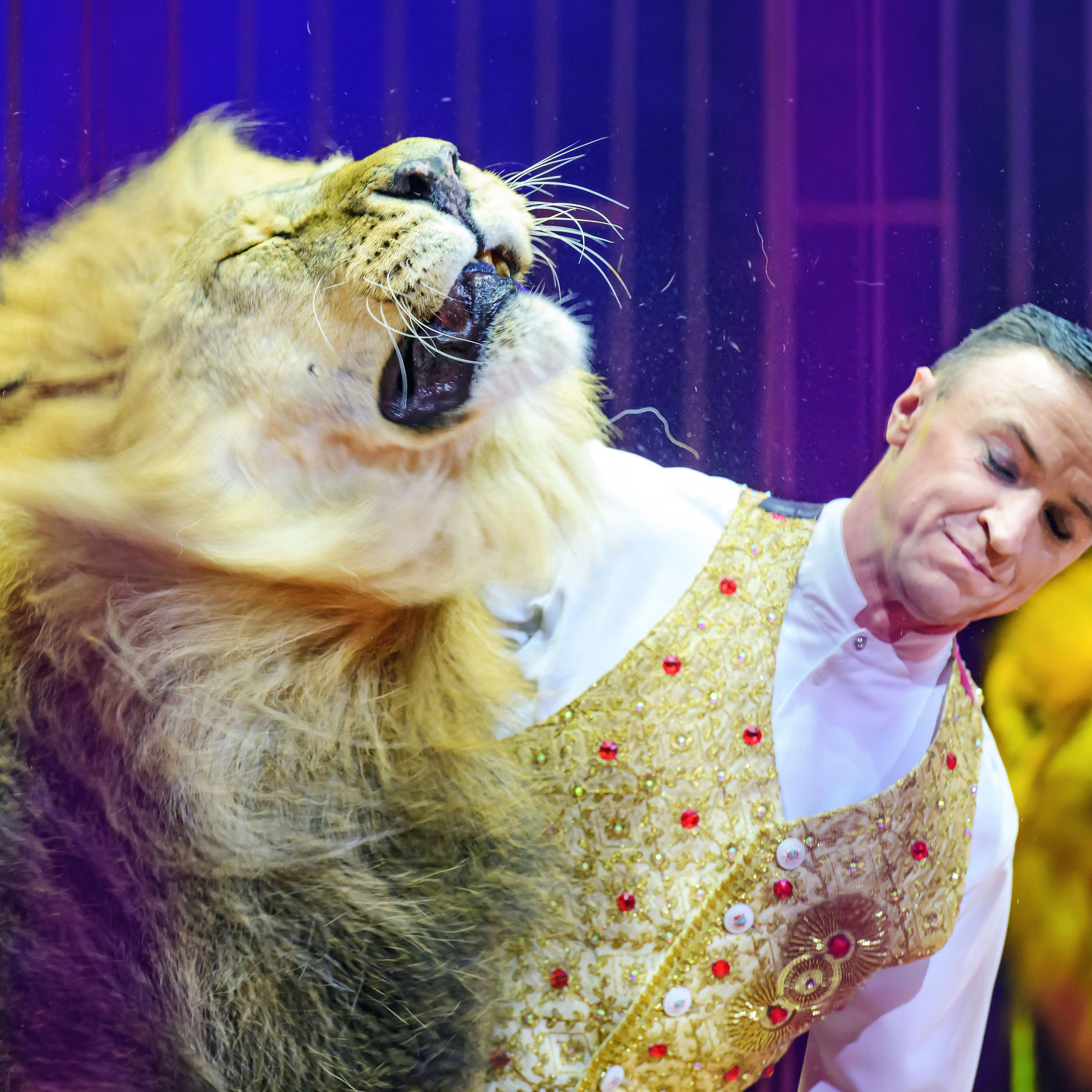 Принц Цирка (Продюсерский центр Влада Гончарова)🎪🦁. Фотограф Андрей Пухов (Jazz)