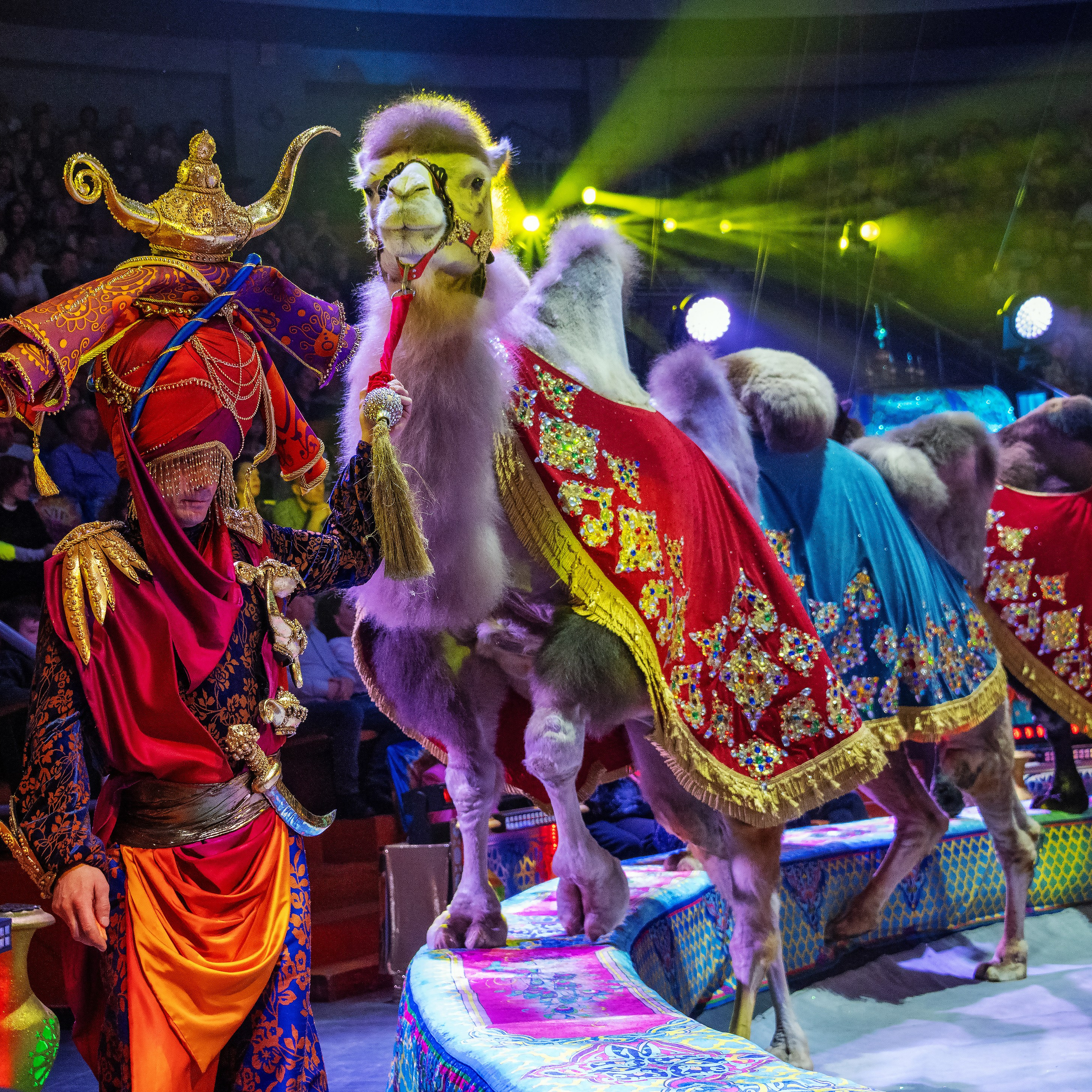 Песчаная сказка Гии Эрадзе — волшебное шоу 🎪, которое должен увидеть каждый, кто ценит красоту🌹, талант 🎭 и умение мечтать 💫. Цирковой фотограф Андрей Пухов (Jazz)