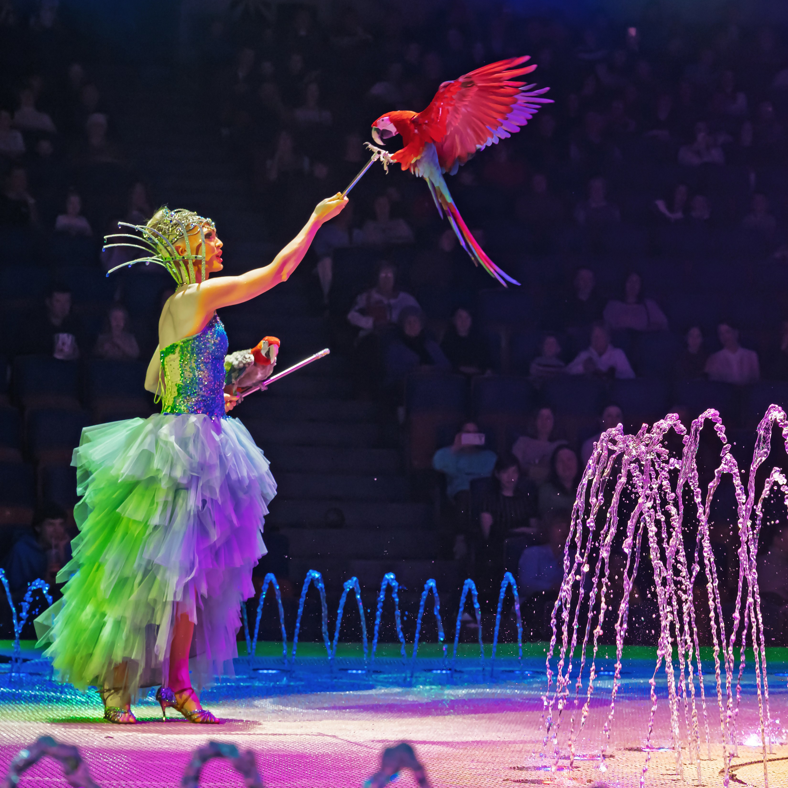 «13 месяцев. Шоу ледяных фонтанов»❄💙. Фотограф Андрей Пухов (Jazz)