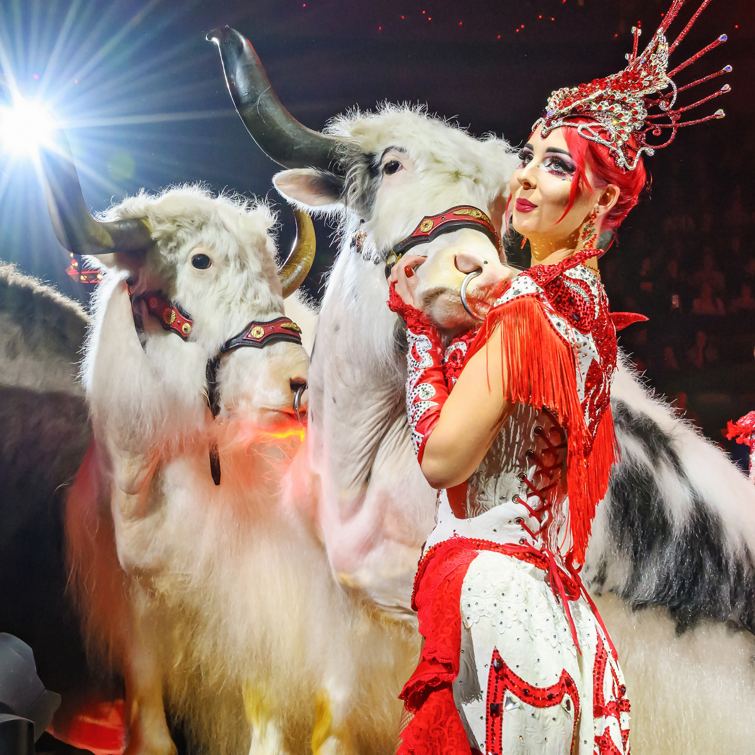 Вечное искусство удивлять: Королевский цирк Гии Эрадзе 👑 Роскошь здесь в каждой детали 💫✨⭐. Фотограф Андрей Пухов (Jazz)