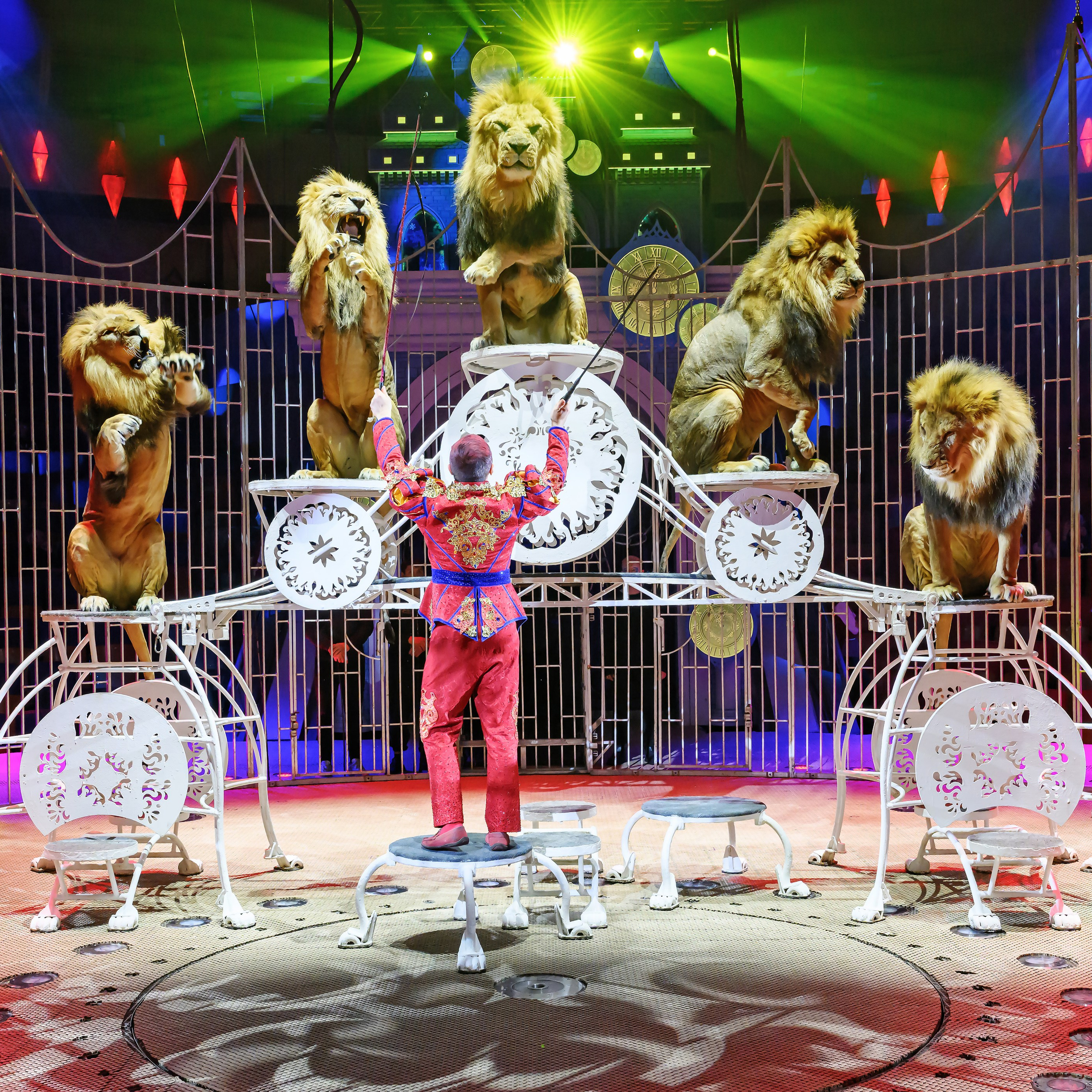 «13 месяцев. Шоу ледяных фонтанов»❄💙. Фотограф Андрей Пухов (Jazz)